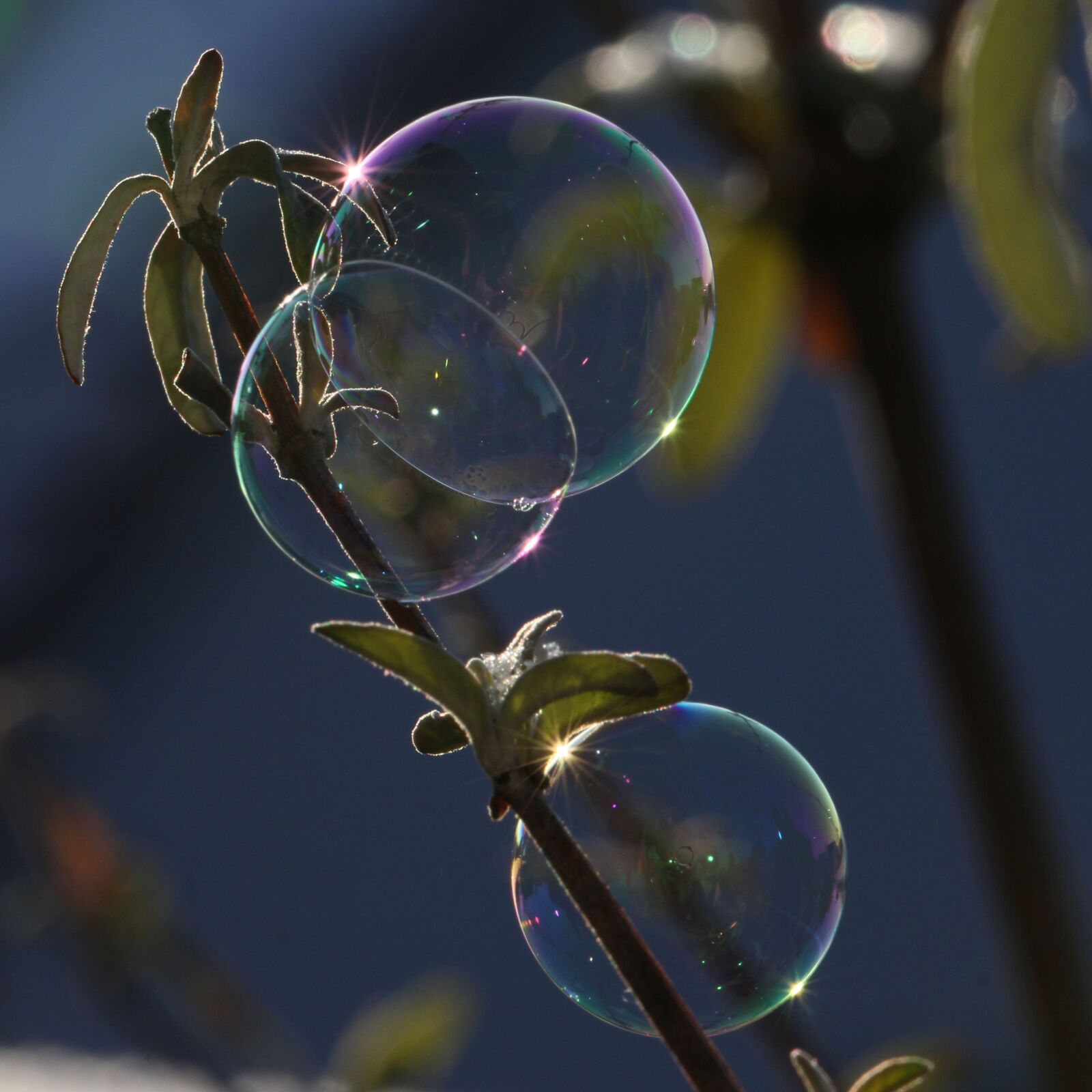 Canon EF 100mm F2.8L Macro IS USM sample photo. Soap bubble, light, reflection photography