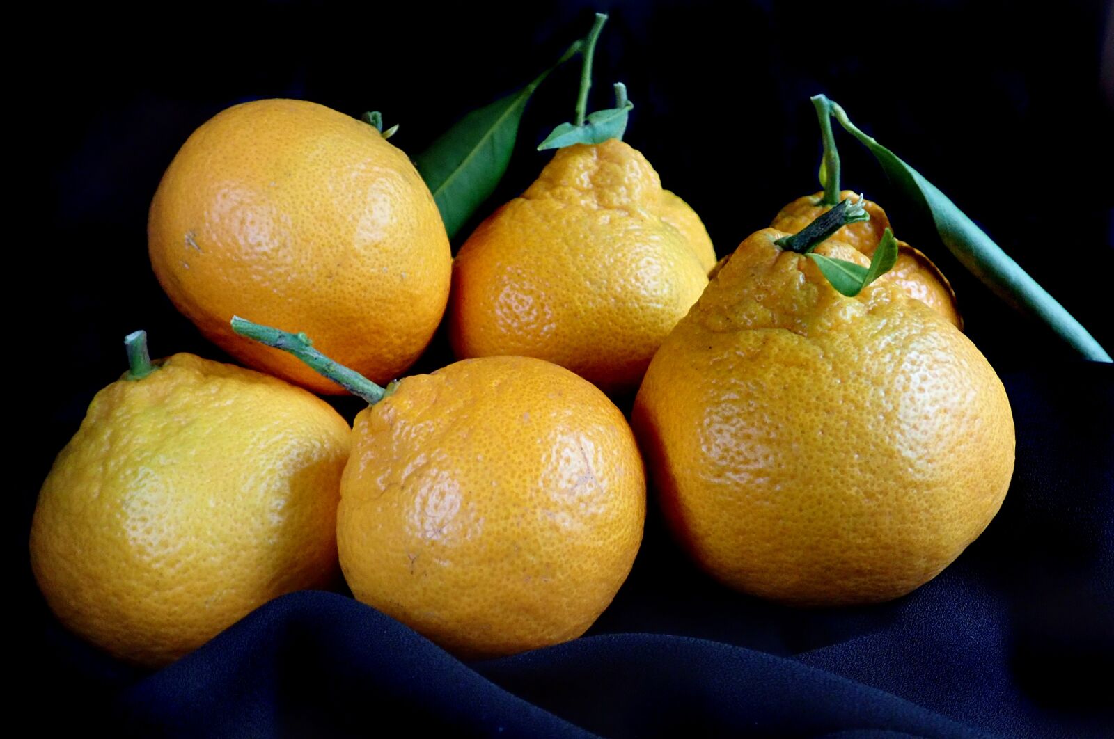 Olympus TG-5 sample photo. Fruit, mandarins, citrus photography
