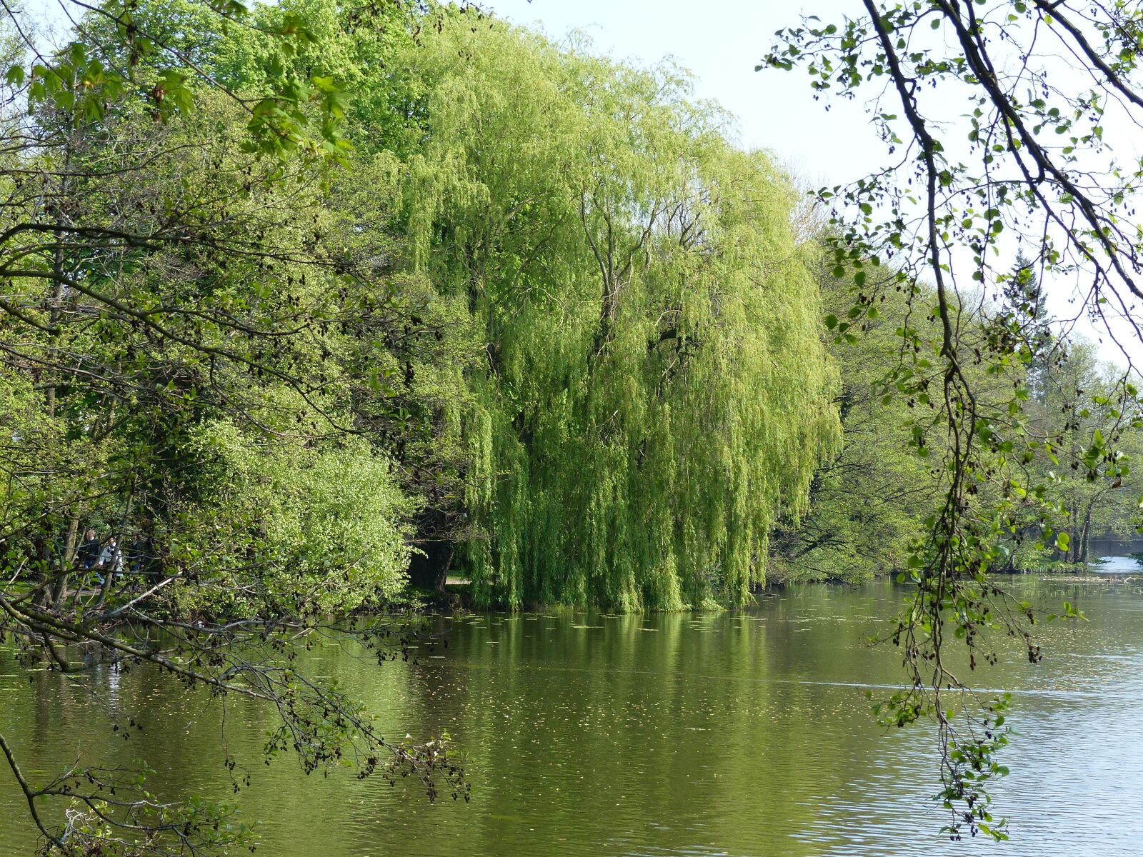 Panasonic Lumix DMC-FZ200 sample photo. Nature, water, landscape photography