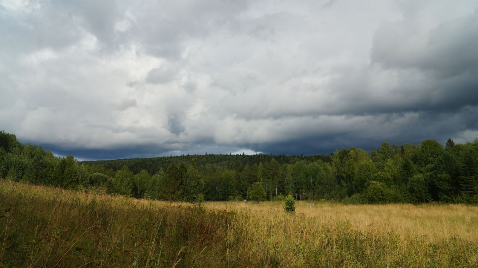 Sony SLT-A57 sample photo. Sky, blue, open space photography
