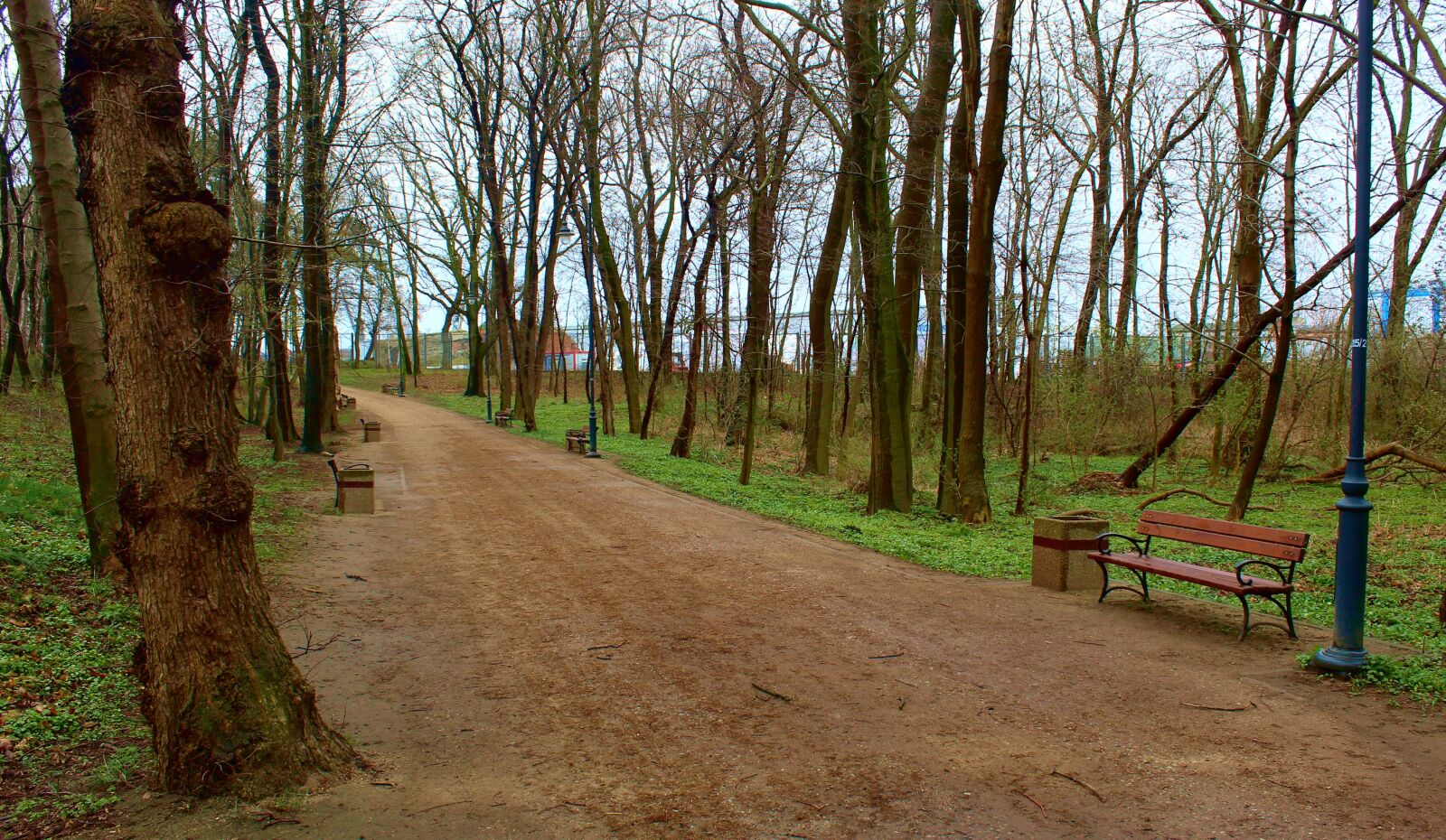 Canon EOS 4000D (EOS Rebel T100 / EOS 3000D) sample photo. Landscape, view, scenery photography