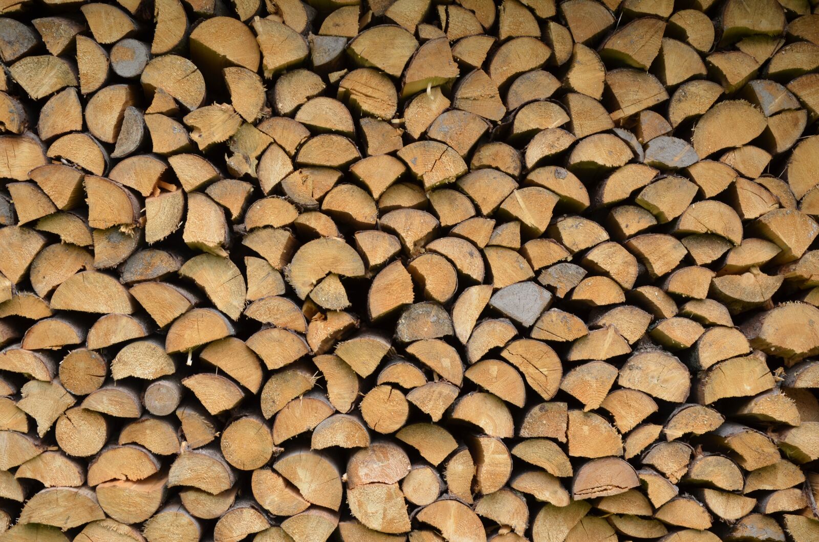Nikon D5100 sample photo. Firewood, logs, billet photography