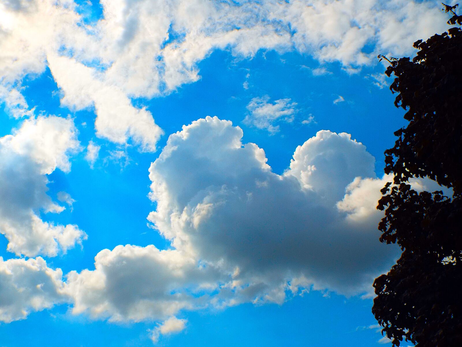 Fujifilm FinePix S8200 sample photo. Bluest sky ever real photography