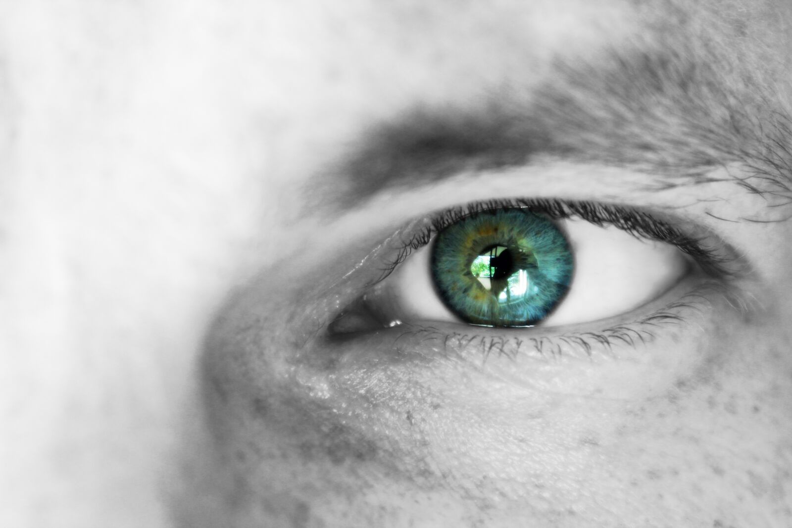 Canon EOS 600D (Rebel EOS T3i / EOS Kiss X5) sample photo. Eye, eyebrow, face photography