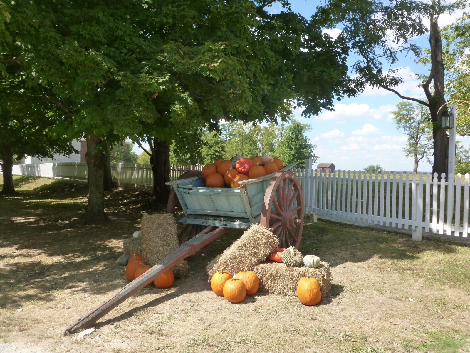 Panasonic DMC-FH27 sample photo. Fall, pumpkins, autumn photography