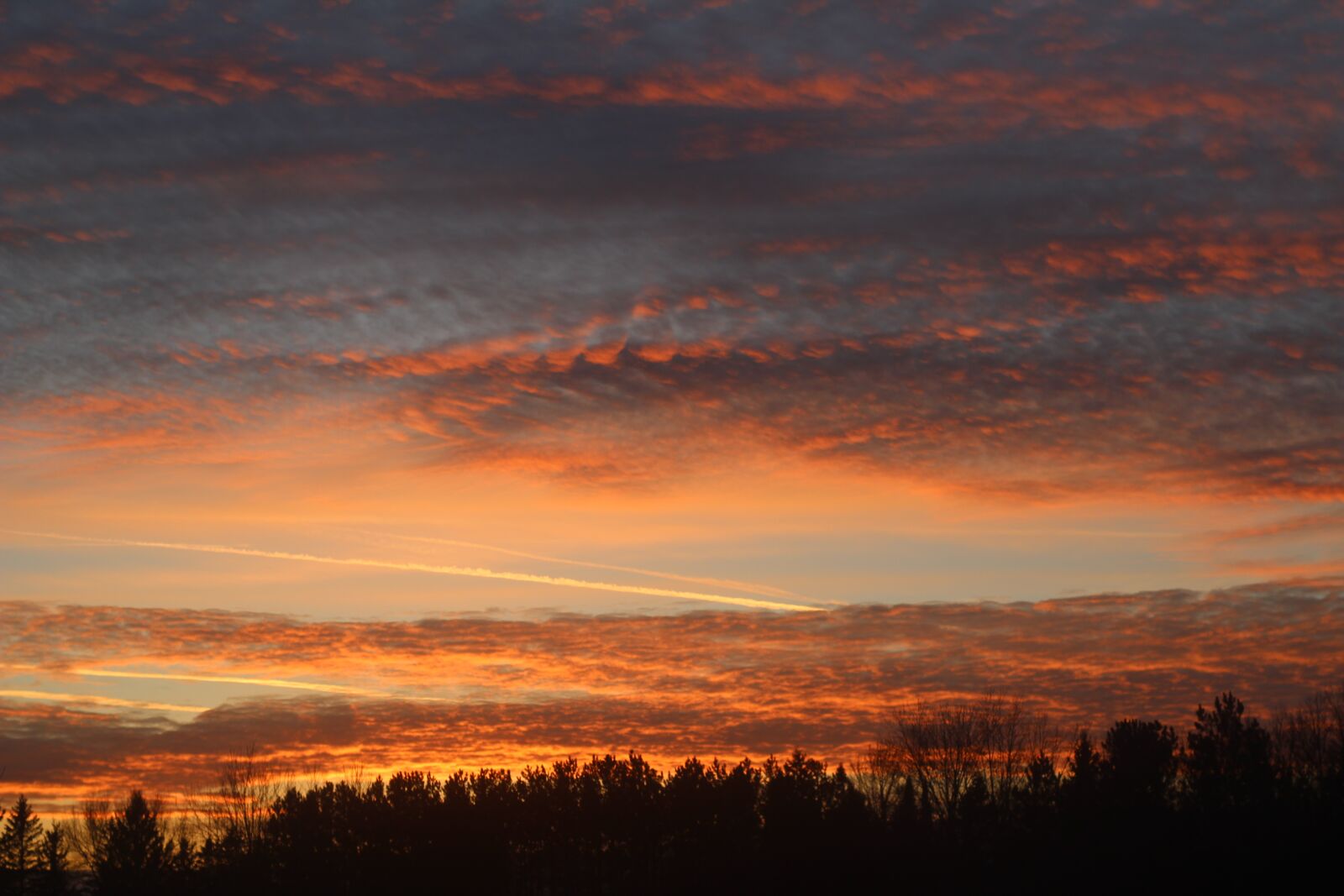 Canon EF 50mm F1.8 STM sample photo. Sunset, pink, yellow photography
