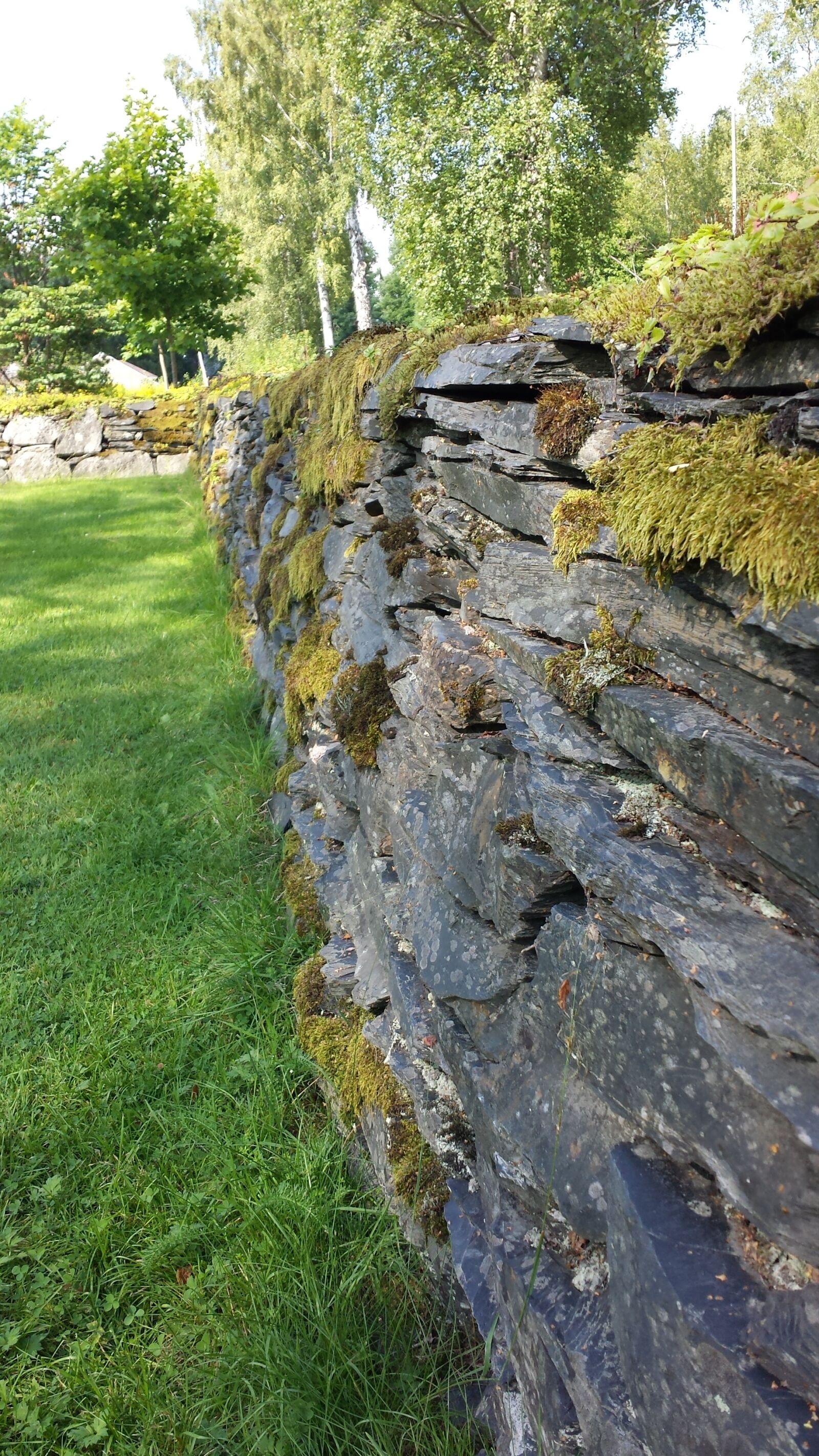 Samsung Galaxy S4 sample photo. Stone wall, wall, moss photography