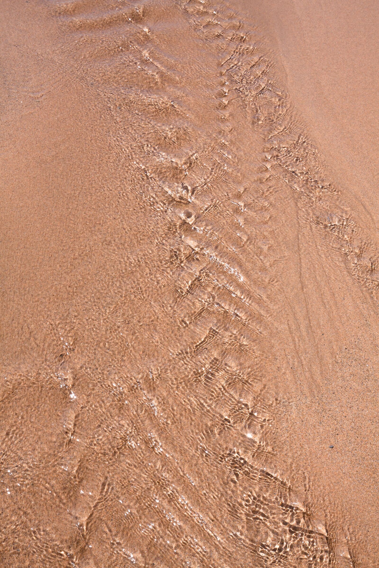 Canon EOS 50D + Canon EF 16-35mm F4L IS USM sample photo. Water, flow, sand photography