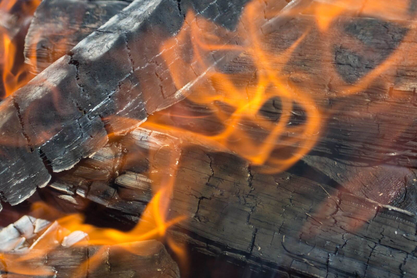 Nikon D3100 sample photo. Fire, flame, firewood photography