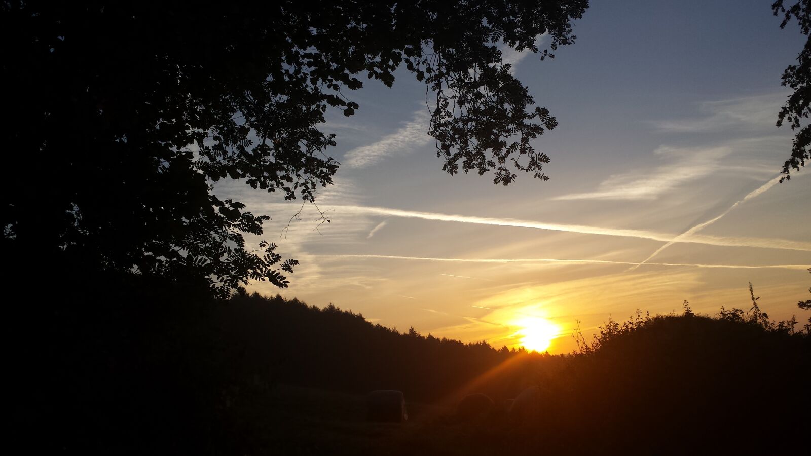 Samsung Galaxy S4 sample photo. Sunrise, sun, forest photography