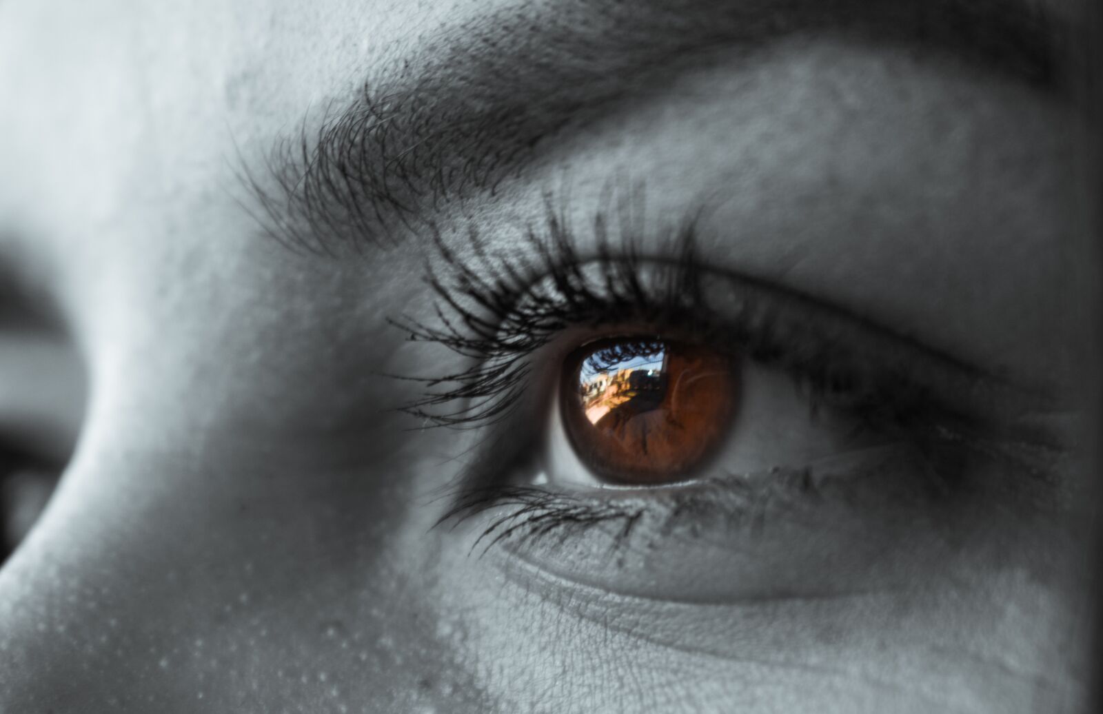 Nikon D3500 sample photo. Eye, black-and-white, brown photography