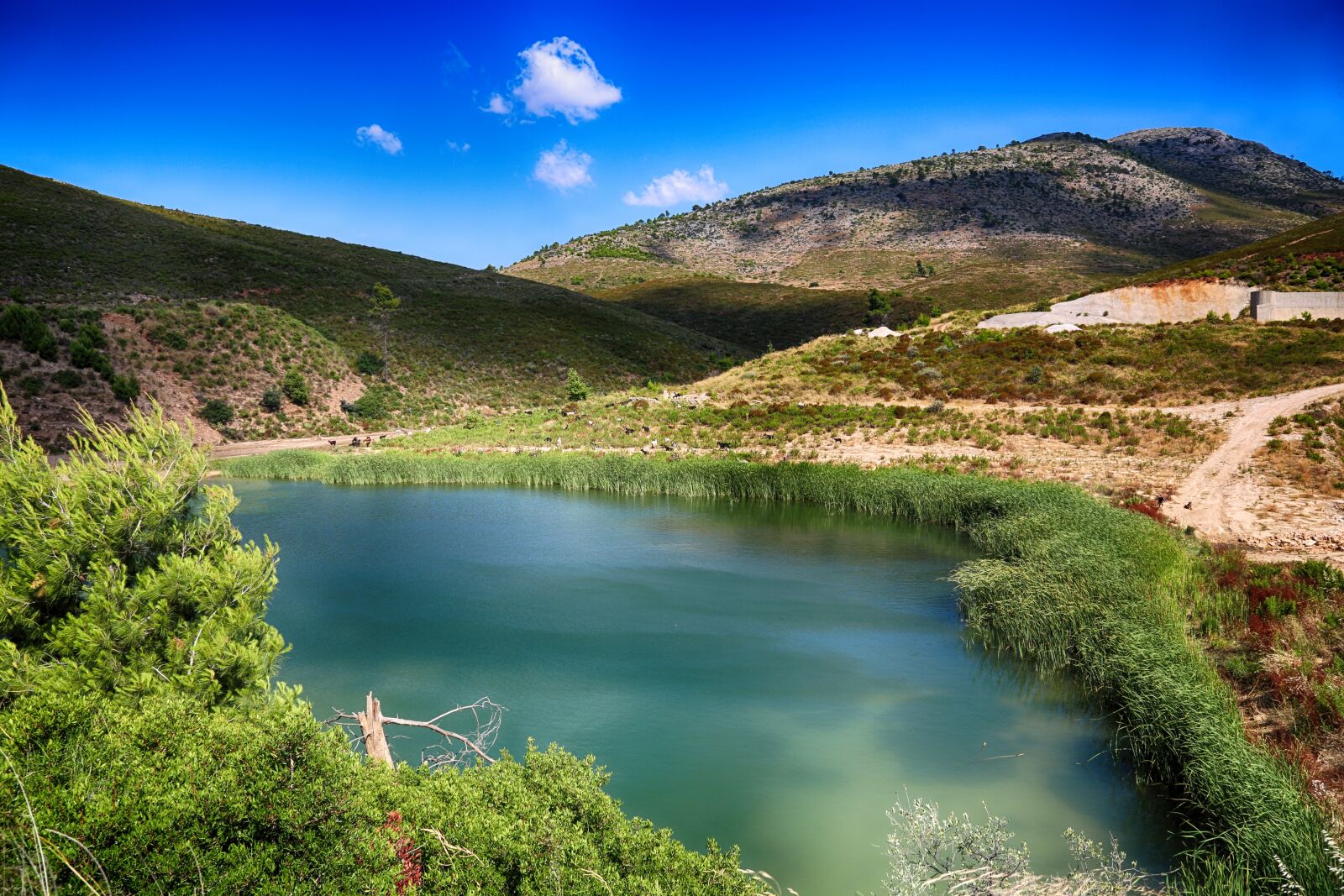 Canon EF 24-105mm F4L IS USM sample photo. Rapentosa lake, water, nature photography