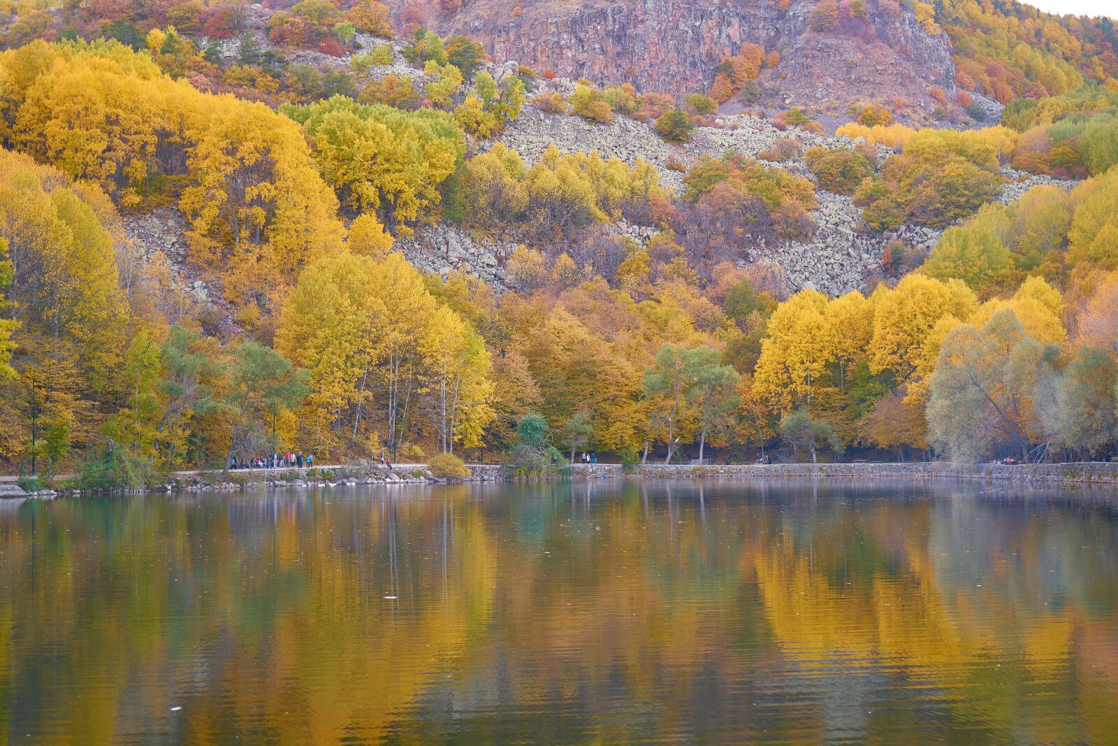 Sony a7R II sample photo. Autumn, season, landscape photography