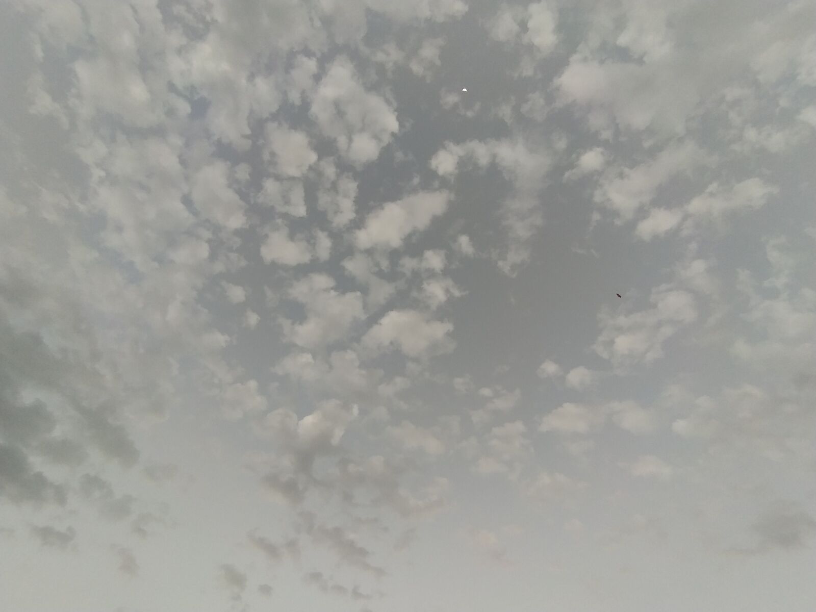 vivo 1920 sample photo. Clouds, sky, nature photography