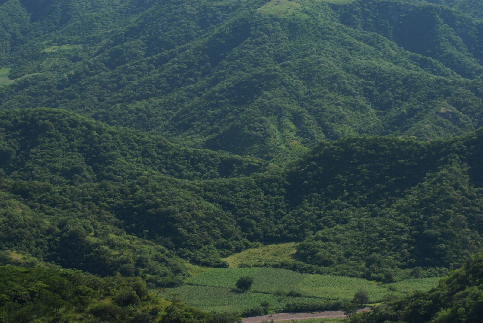 Nikon D200 sample photo. Tlapa de comonfort, corn photography