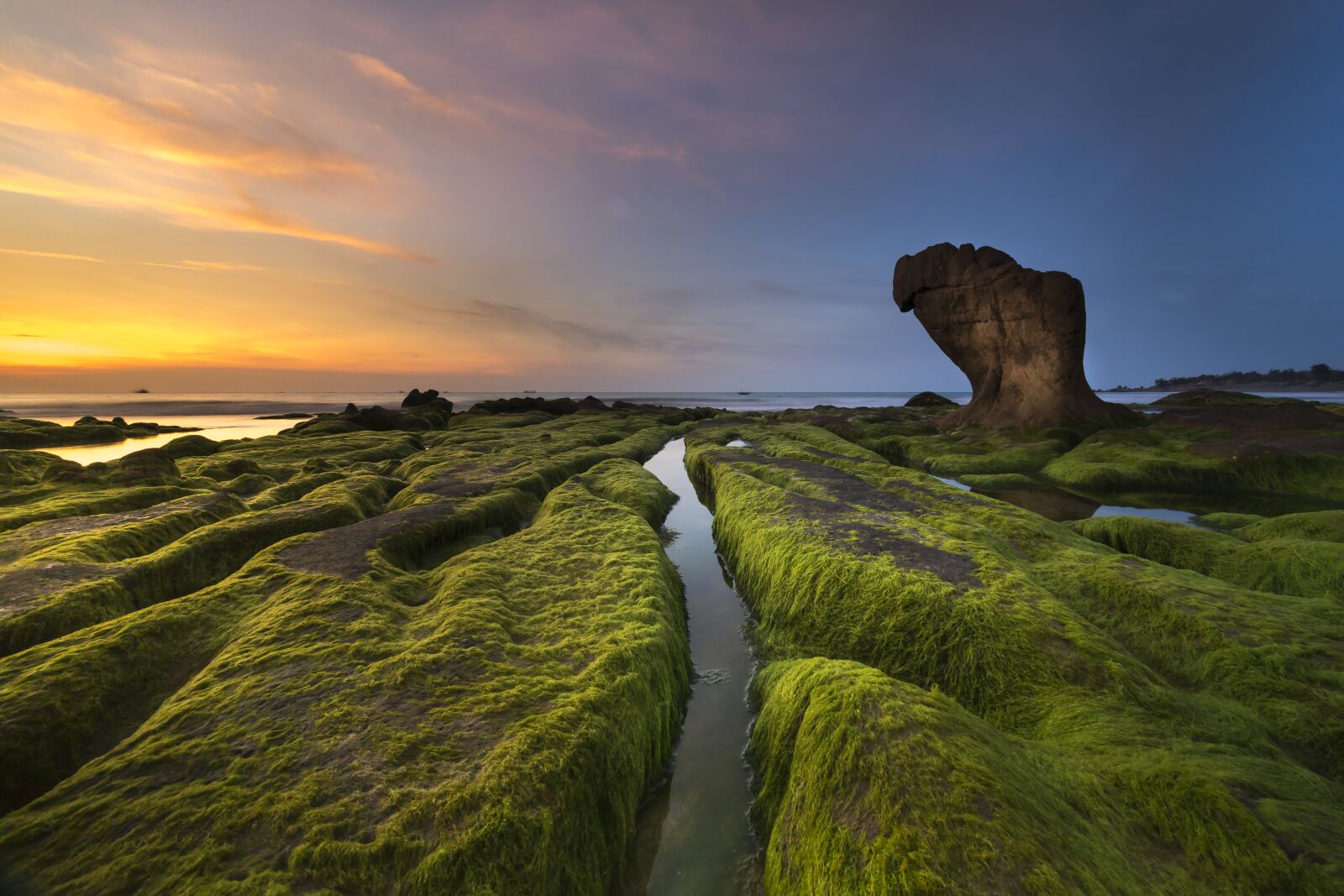 Sony a7R II + Voigtlander ULTRA WIDE-HELIAR 12mm F5.6 III sample photo. Coast, moss, province photography