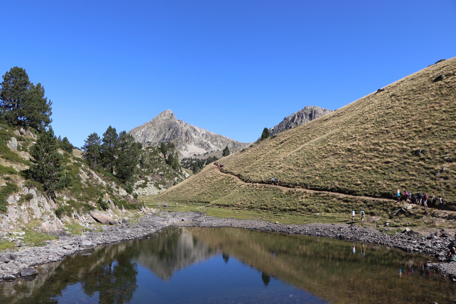 Canon EF-S 18-135mm F3.5-5.6 IS USM sample photo. Pyrenees, mountain, fir photography
