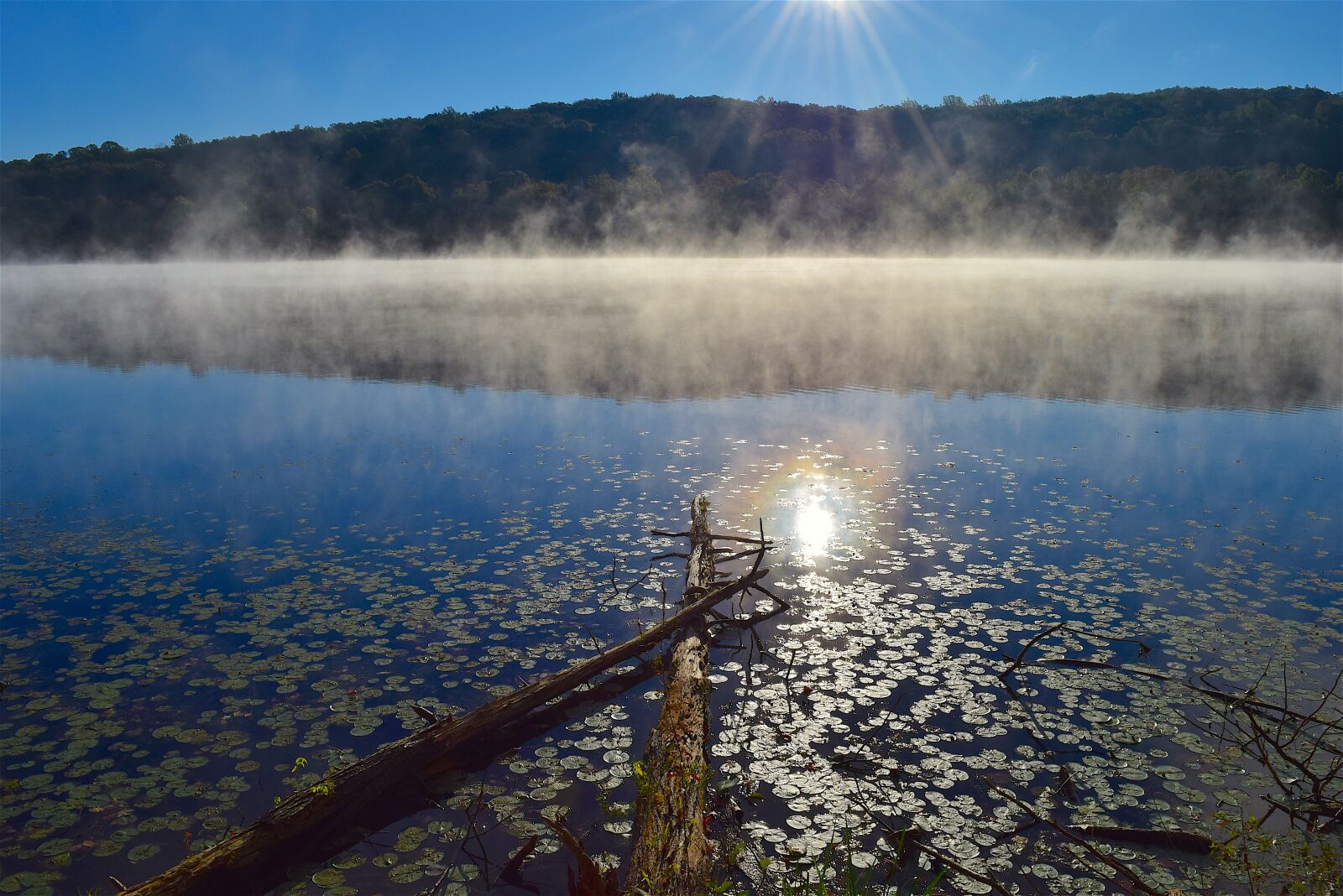 Nikon D3300 sample photo. Lake, mist, sun photography