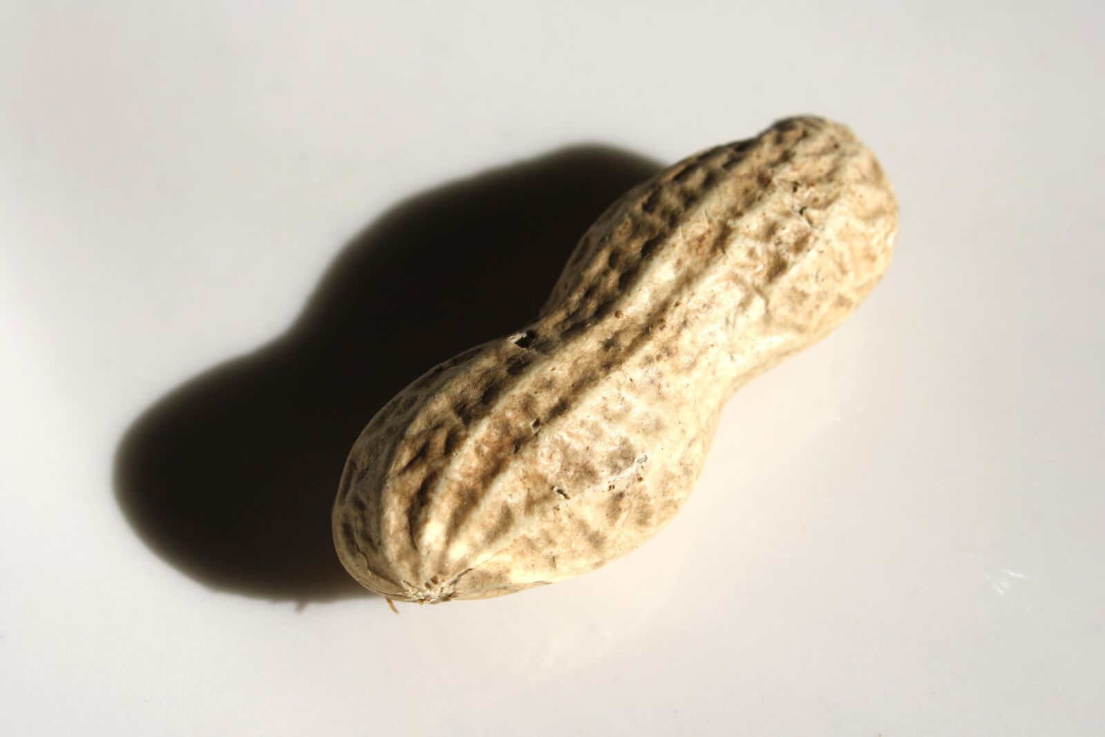 Canon EOS 1000D (EOS Digital Rebel XS / EOS Kiss F) + f/3.5-5.6 IS sample photo. Peanut, seed, shadow, food photography