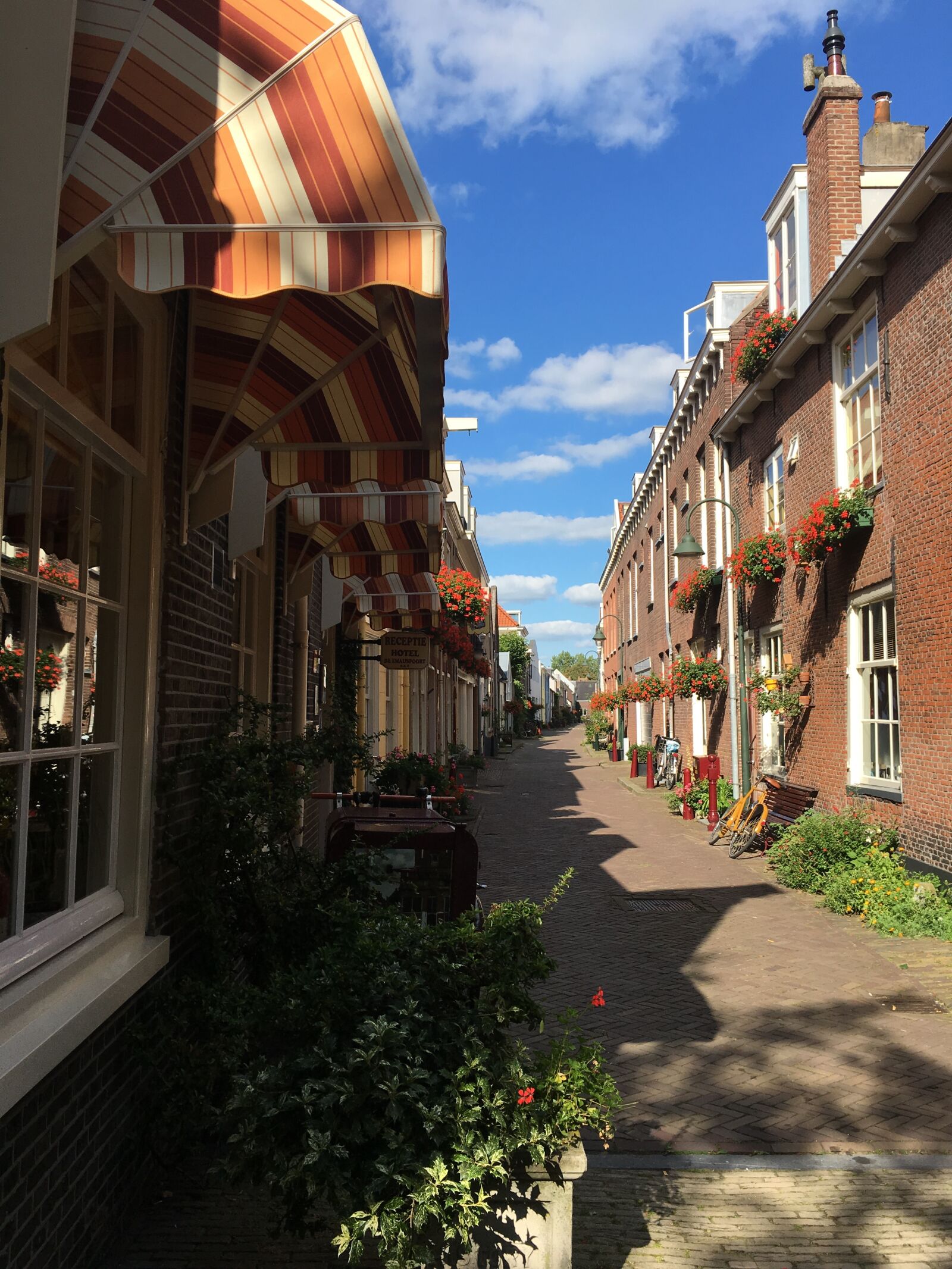 Apple iPhone 6s sample photo