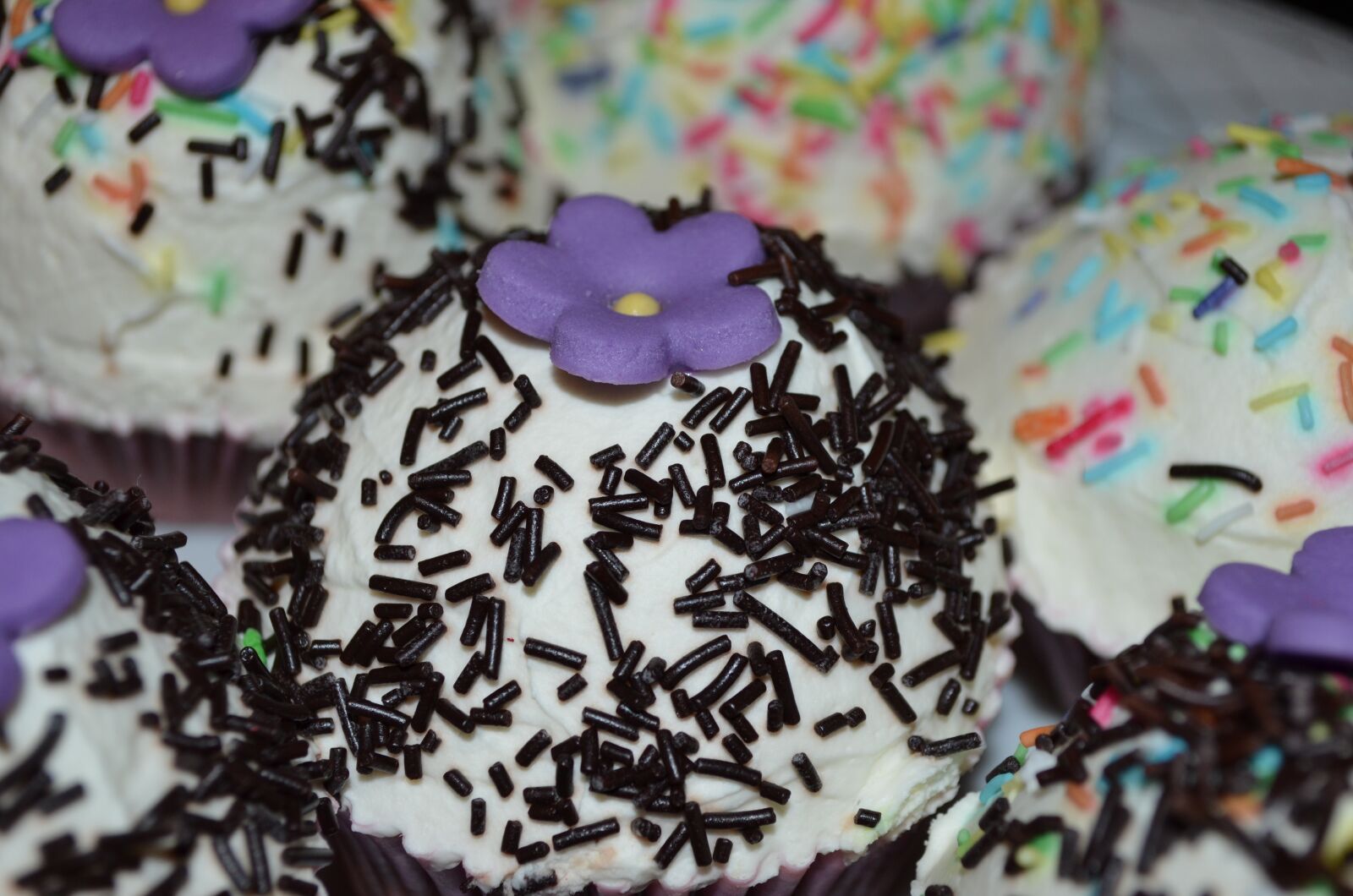 Nikon D5100 sample photo. Cupcake, delicious, dessert photography