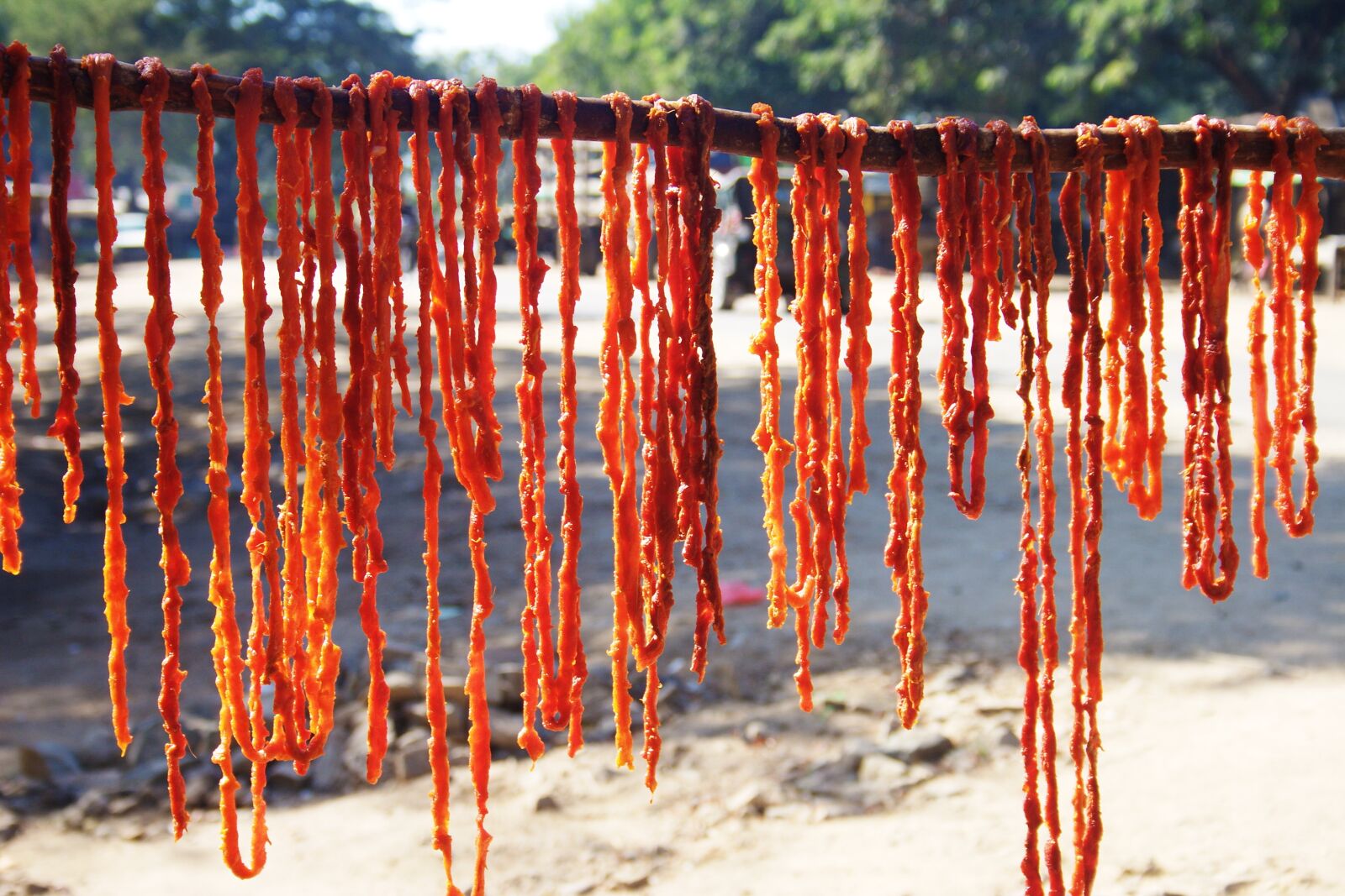 Canon EOS 20D sample photo. Chili, burma, sharp photography