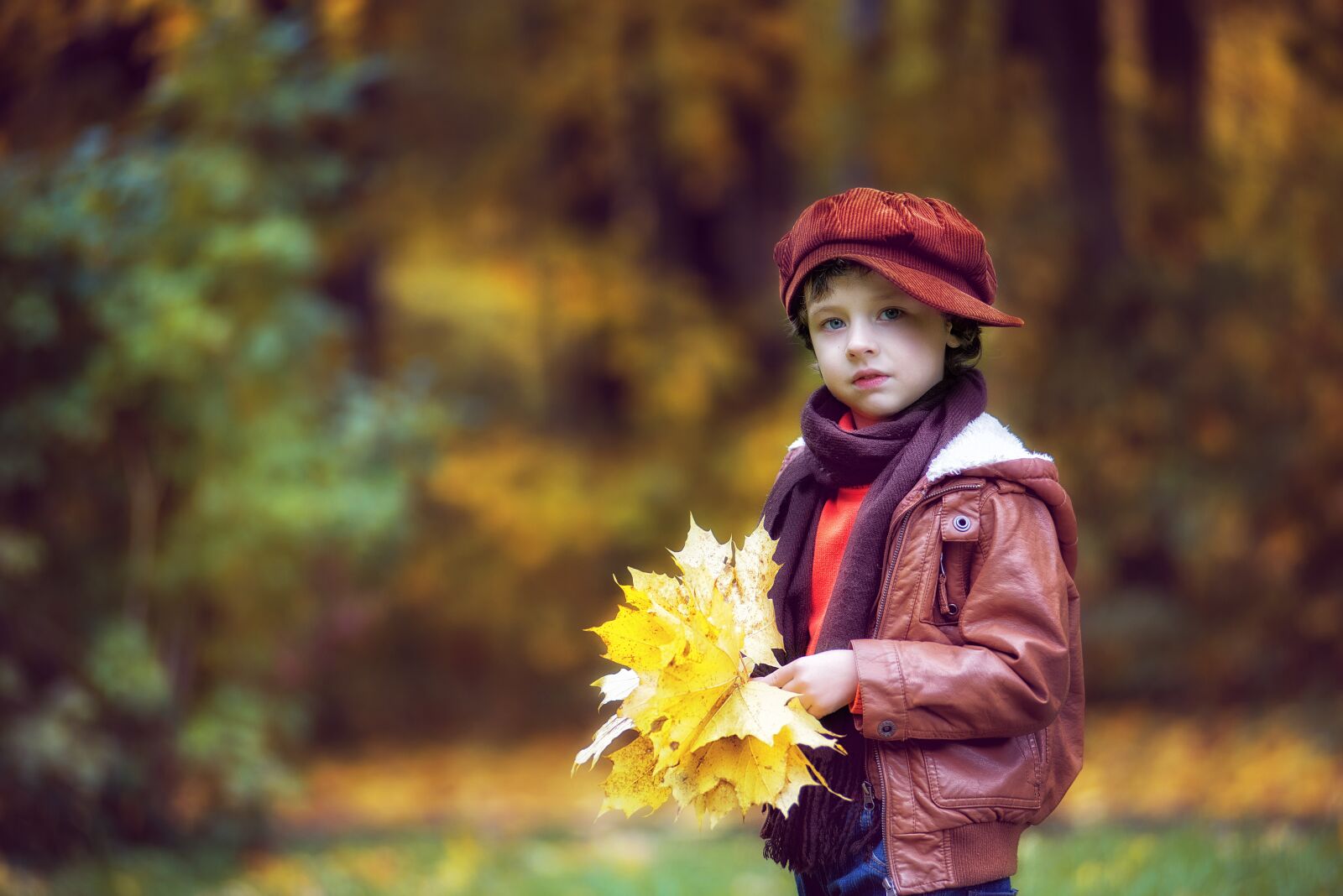 Nikon D610 sample photo. Park, autumn, autumn park photography