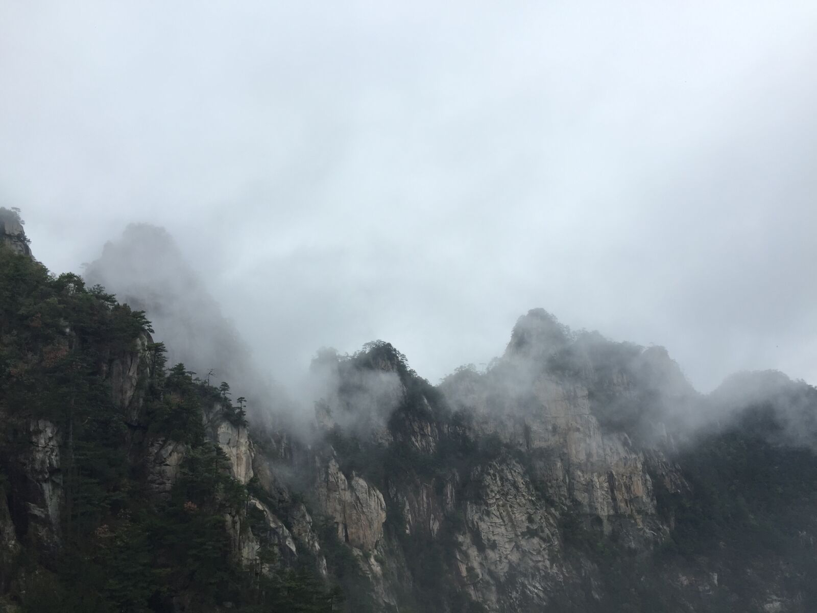 Apple iPhone 6 sample photo. Damingshan, cloud, western zhejiang photography