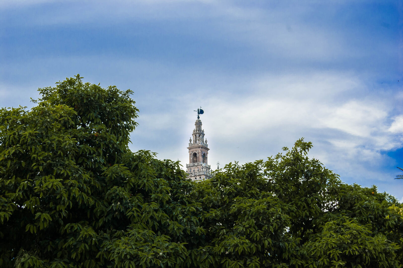 Nikon D40 sample photo. Sevilla photography