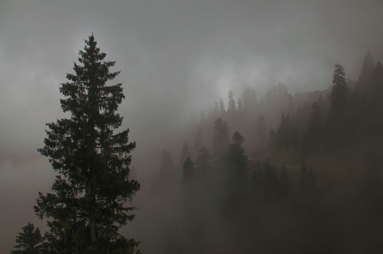 Nikon D5100 sample photo. Mountains, travel, forest photography