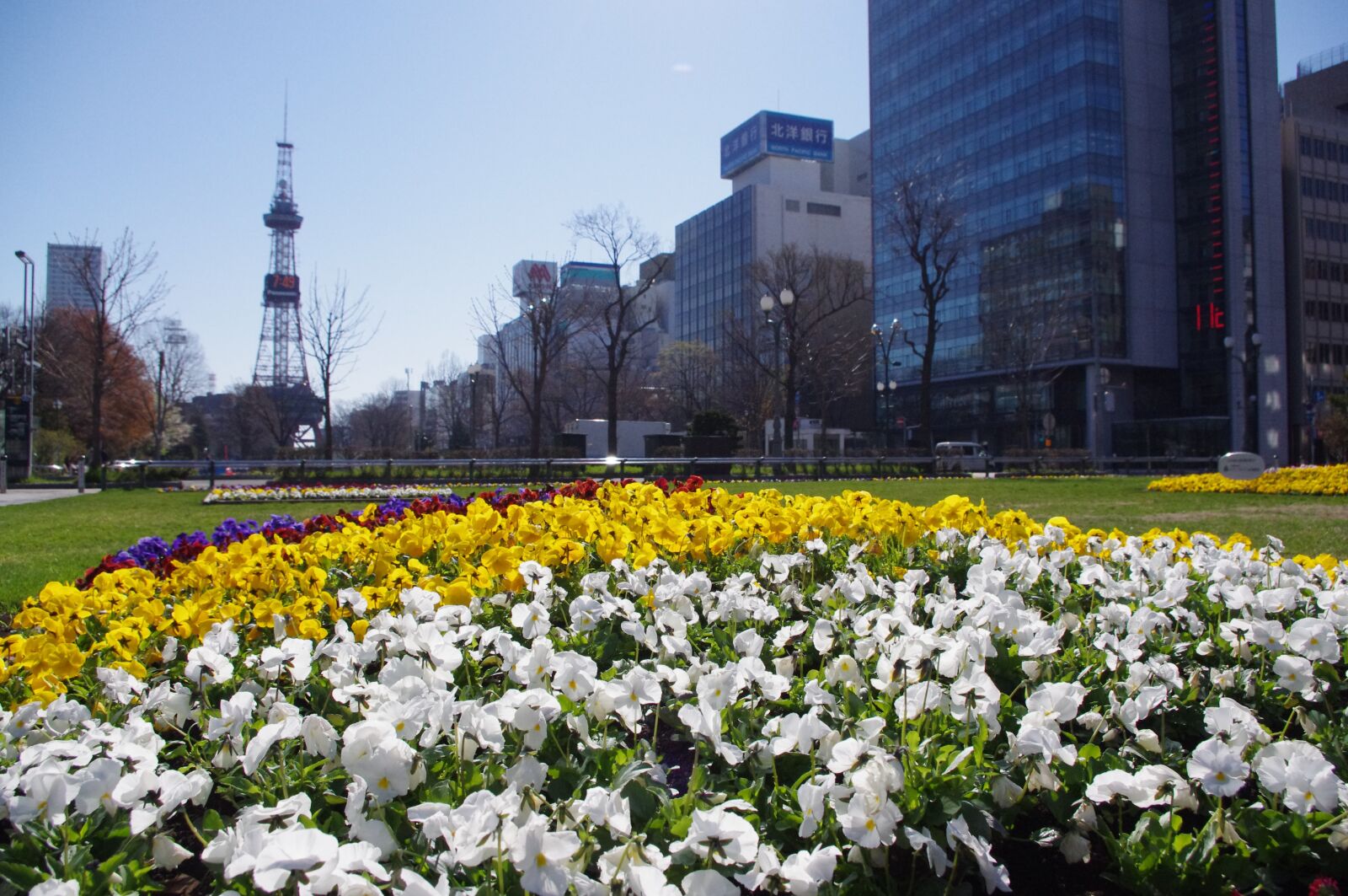 Pentax K-r sample photo. Flowerbed, park, garden photography
