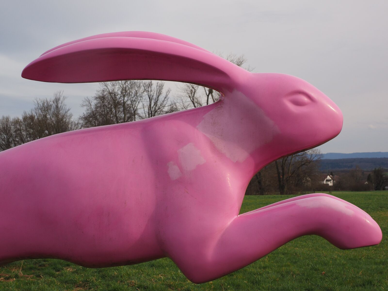 Olympus OM-D E-M1 + Olympus M.Zuiko Digital ED 12-40mm F2.8 Pro sample photo. Hare, jump, bunny jump photography
