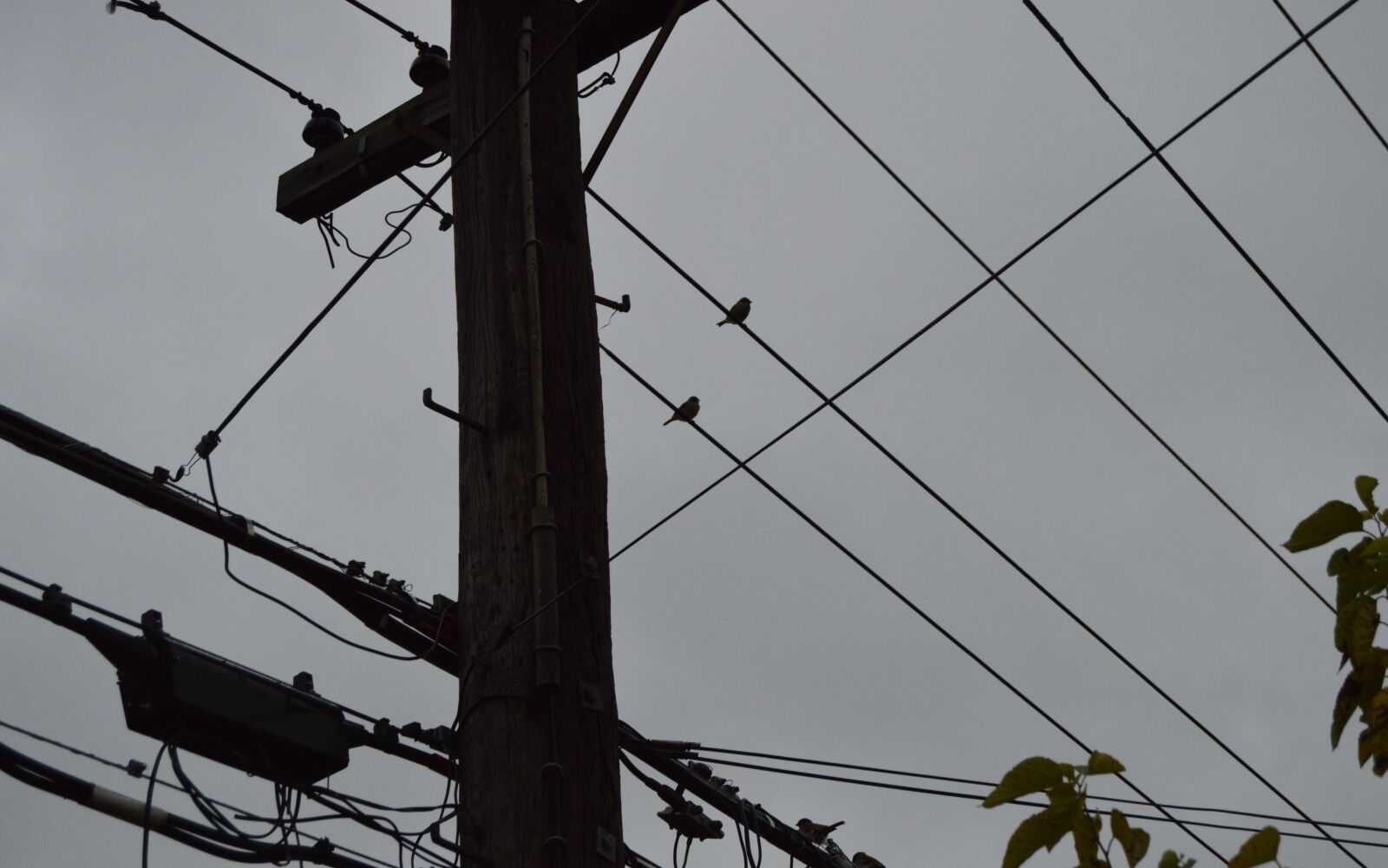 Nikon D3200 sample photo