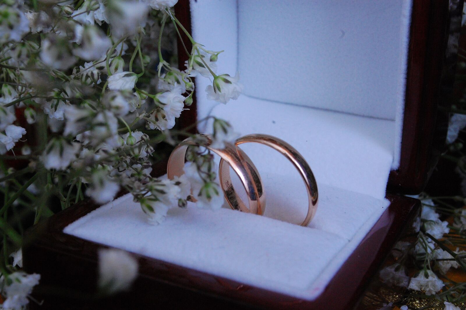 Nikon D40 sample photo. Rings, wedding, wedding rings photography