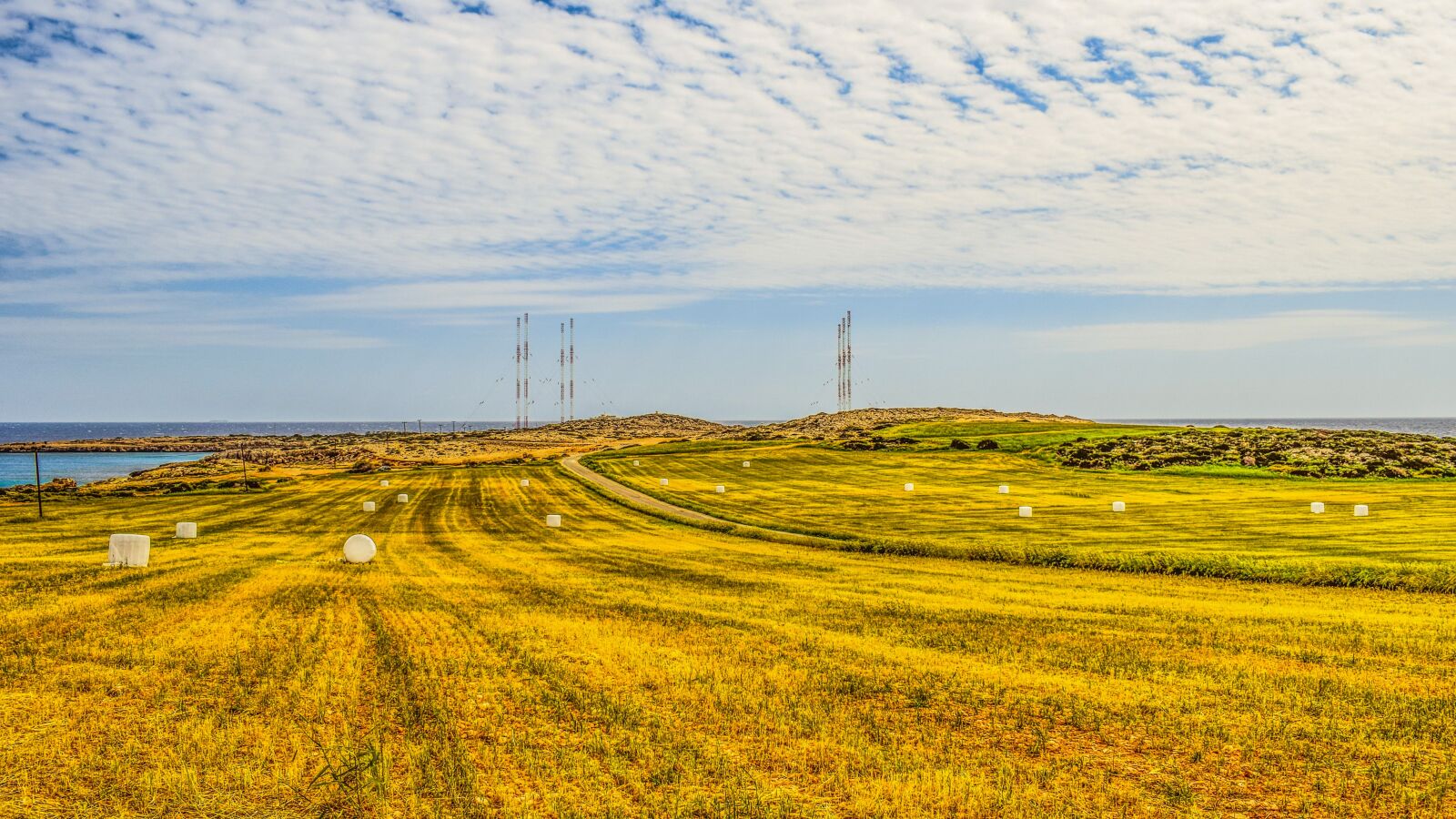 Nikon D3300 sample photo. Barley, field, harvest photography