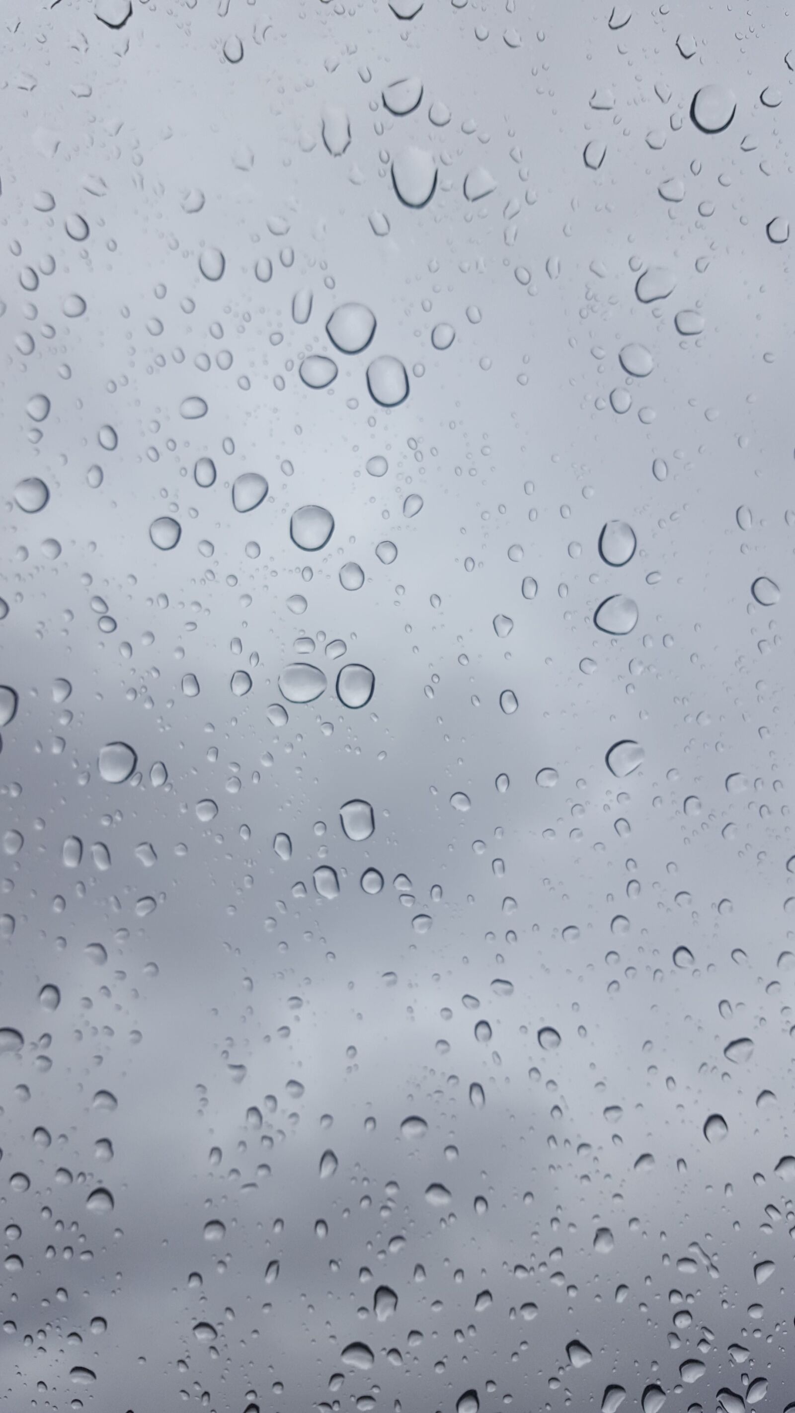 Samsung Galaxy S6 sample photo. Rain, wet, pearl photography