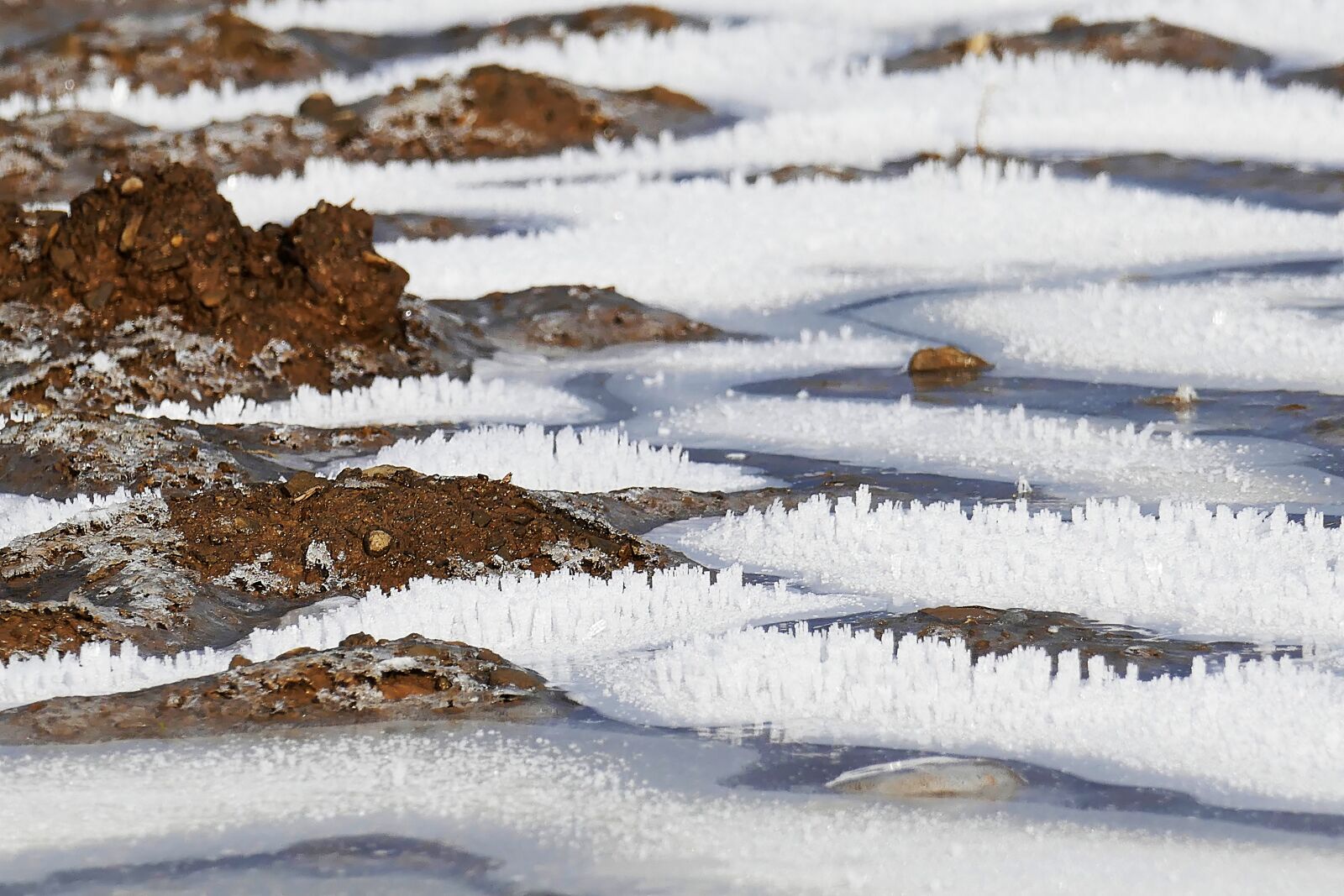 Panasonic Lumix DMC-FZ1000 sample photo. Frost, frozen, arable photography