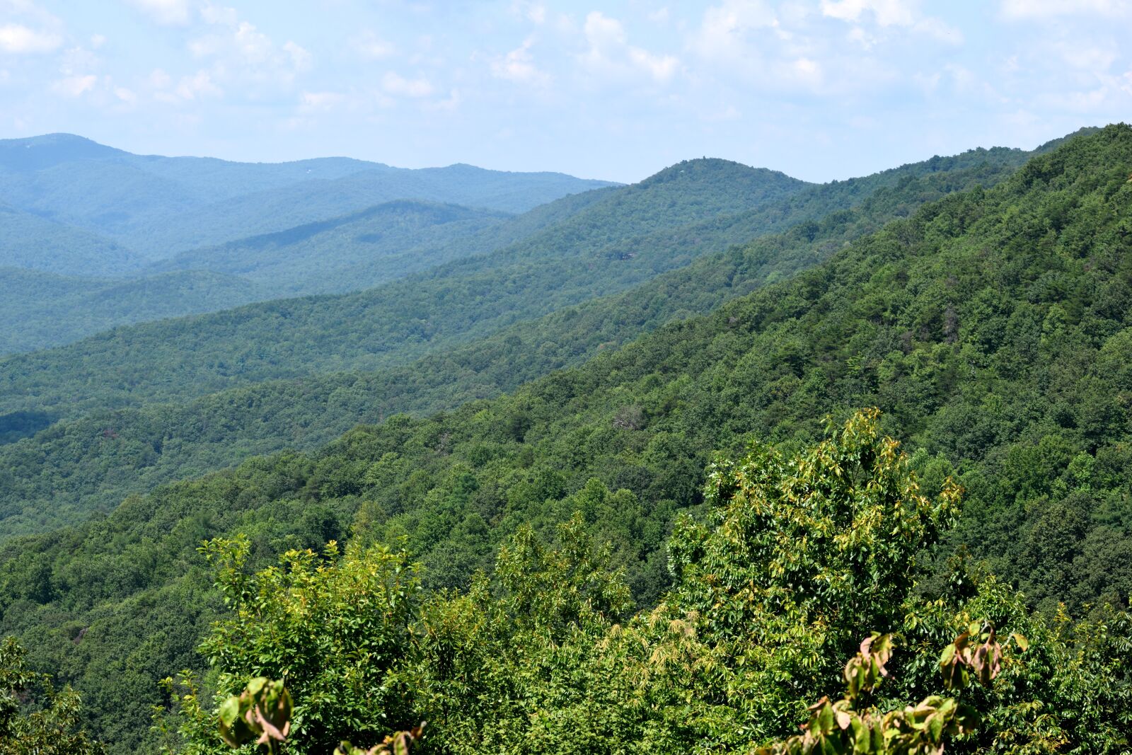 Nikon D3300 sample photo. Appalachian mountains, dahlonega, georgia photography