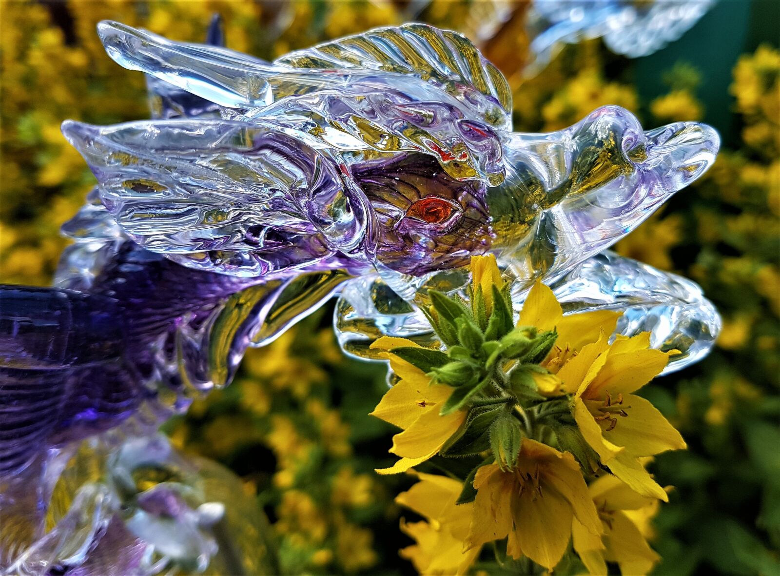 Samsung Galaxy S7 Edge sample photo. Glass, dragon, art photography