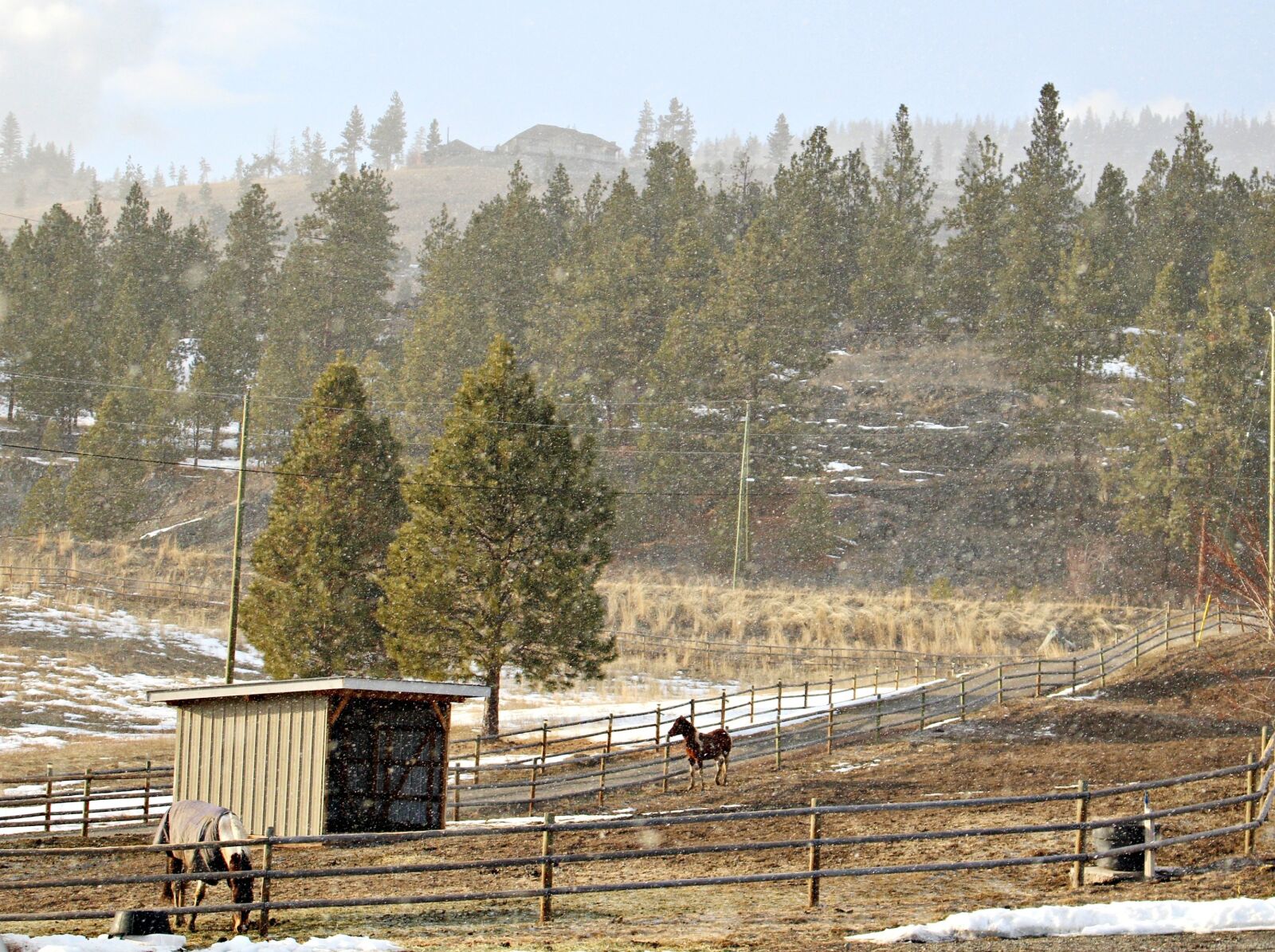 Canon EOS 100D (EOS Rebel SL1 / EOS Kiss X7) sample photo. Sun and snow, crazy photography