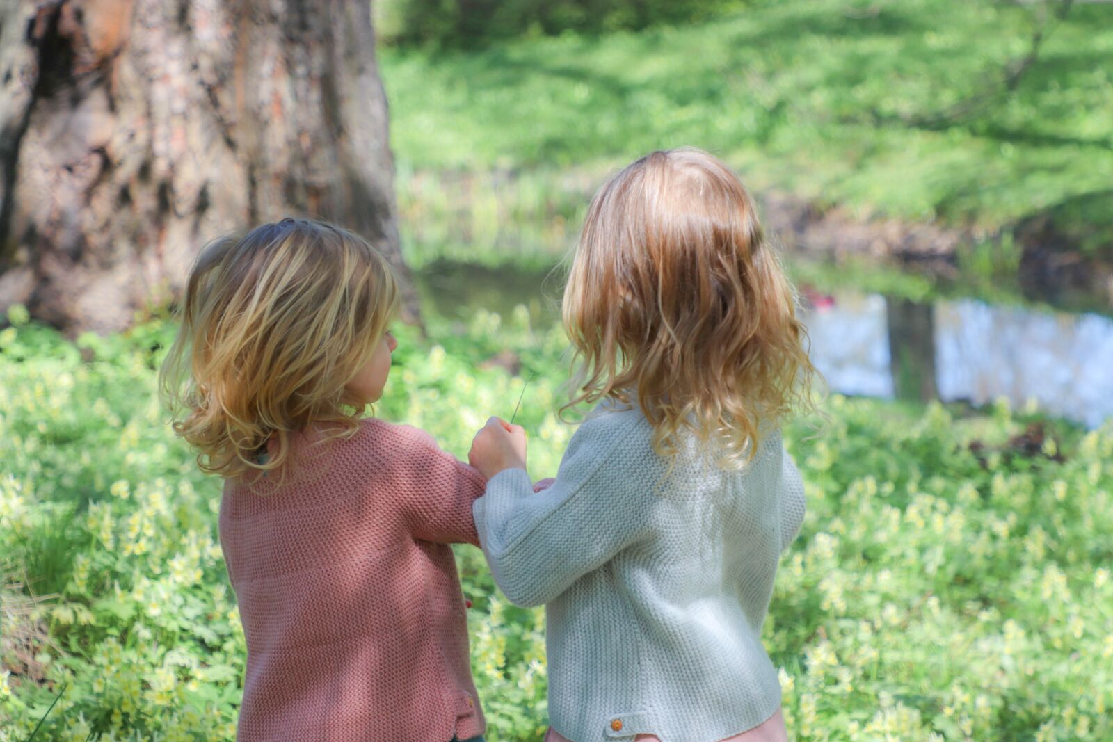 Canon EOS 77D (EOS 9000D / EOS 770D) sample photo. Park, kids, stroll photography