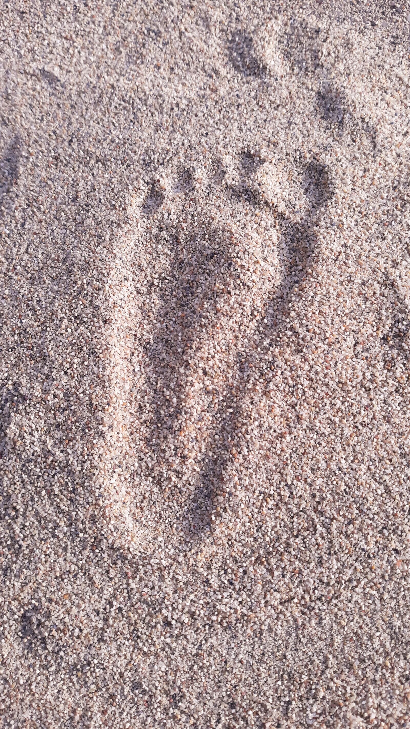Samsung Galaxy J5 sample photo. Footprint in the sand photography