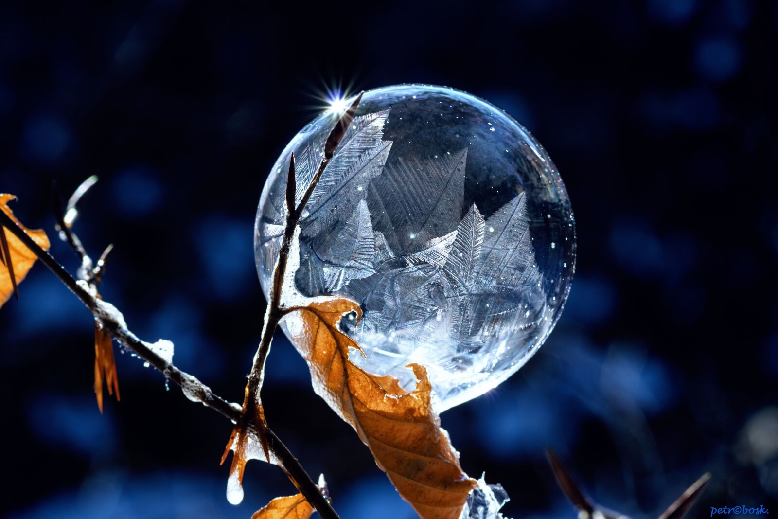 Canon EOS 760D (EOS Rebel T6s / EOS 8000D) sample photo. Winter, nature, abstract photography