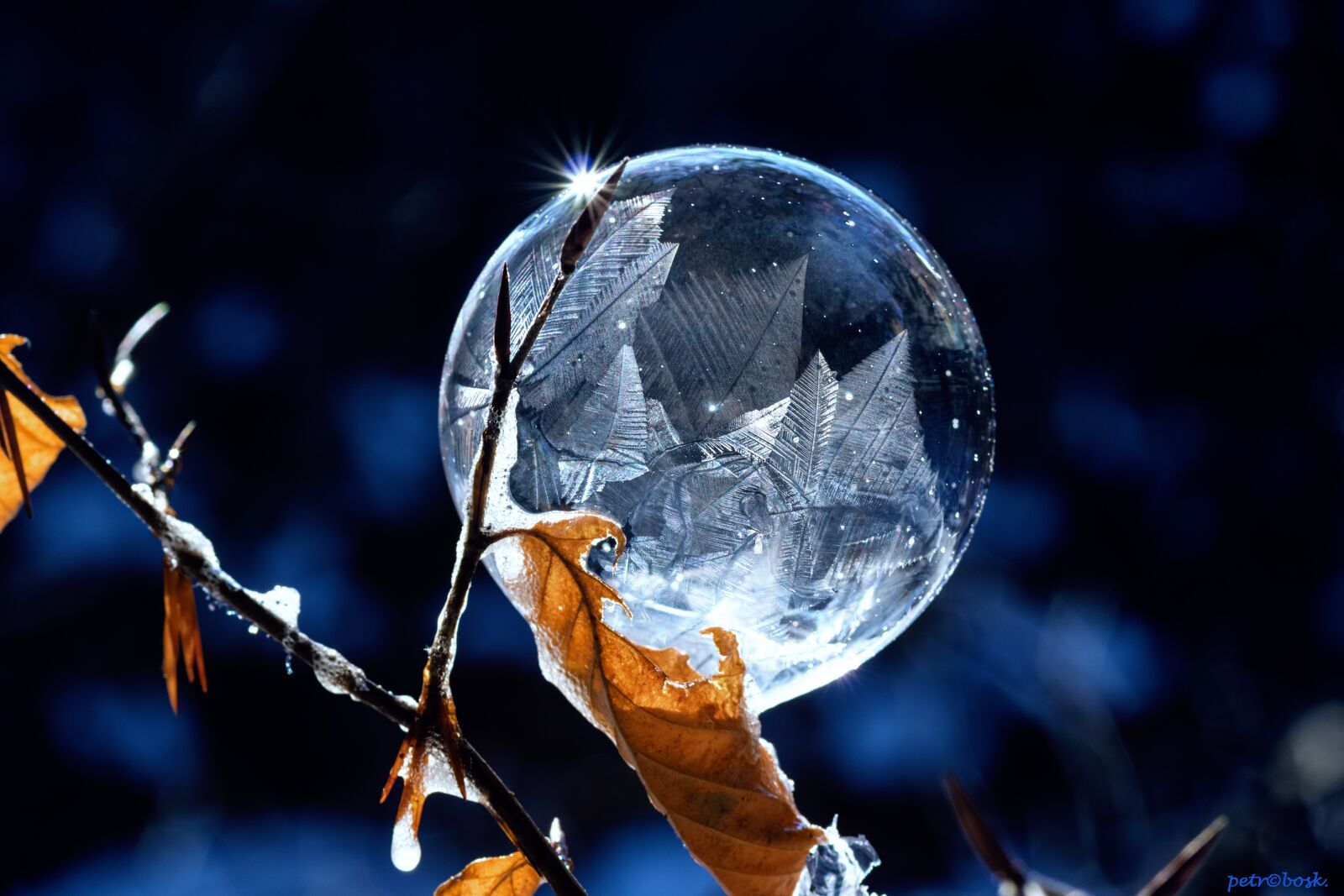 Tamron SP 90mm F2.8 Di VC USD 1:1 Macro sample photo. Winter, nature, abstract photography