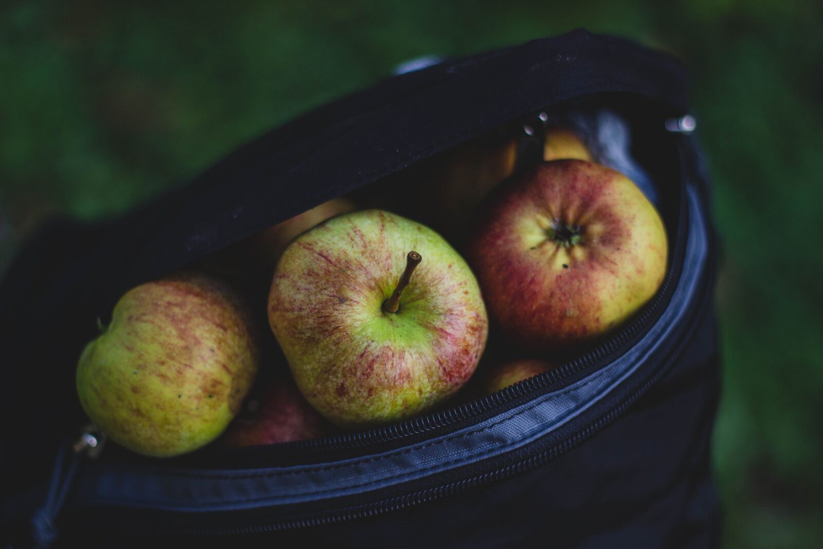 Canon EOS 600D (Rebel EOS T3i / EOS Kiss X5) + Canon EF 50mm F1.8 II sample photo. Apples, green, red photography