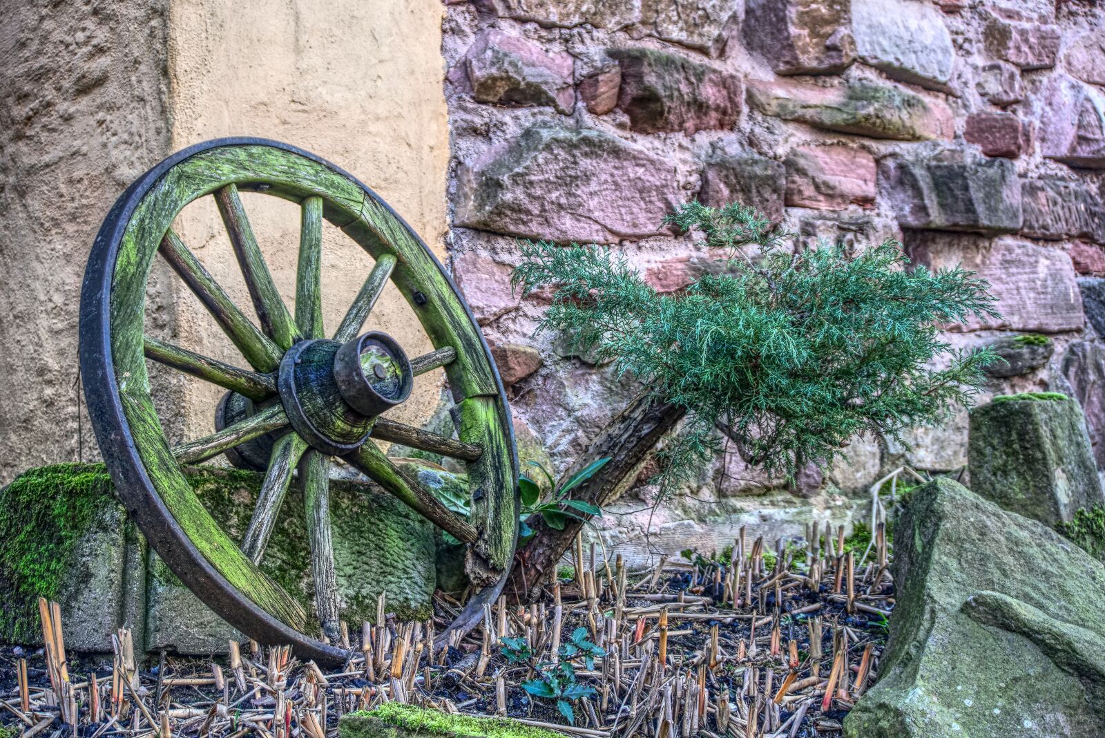 Sony a6000 sample photo. Wagon wheel, old, wheel photography