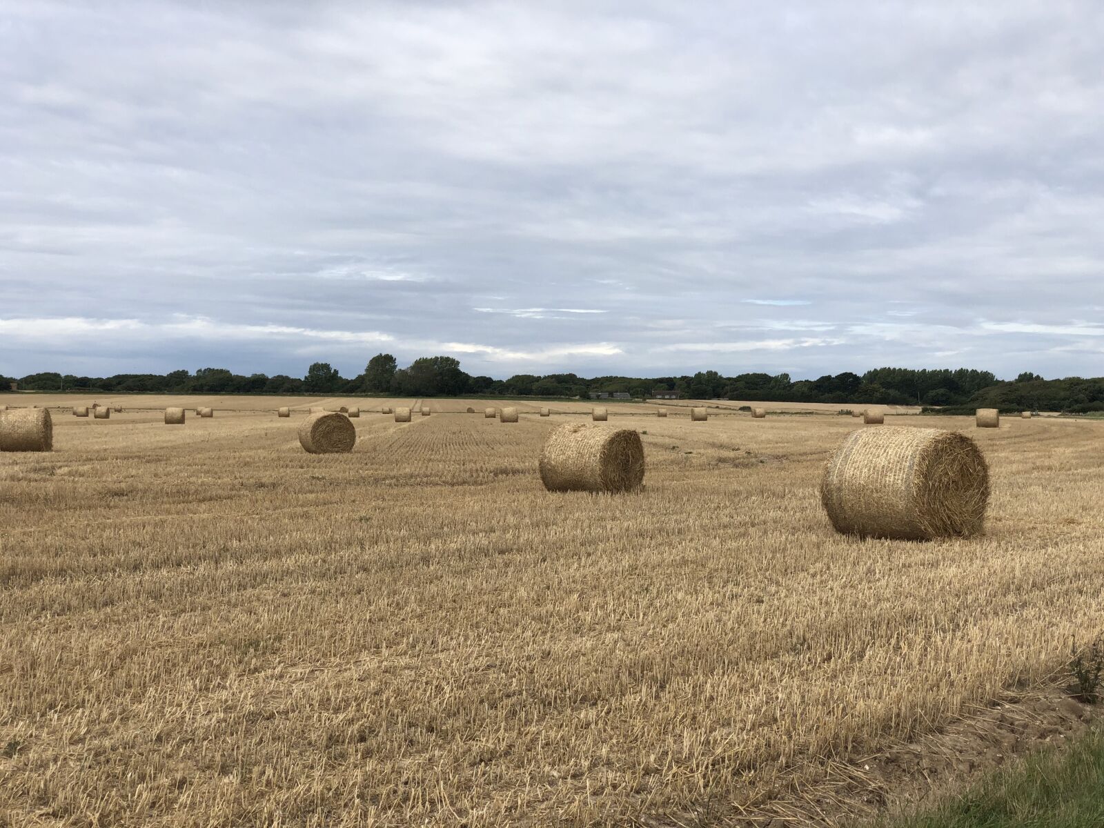 iPhone X back dual camera 6mm f/2.4 sample photo. Hay bails, hay, farm photography