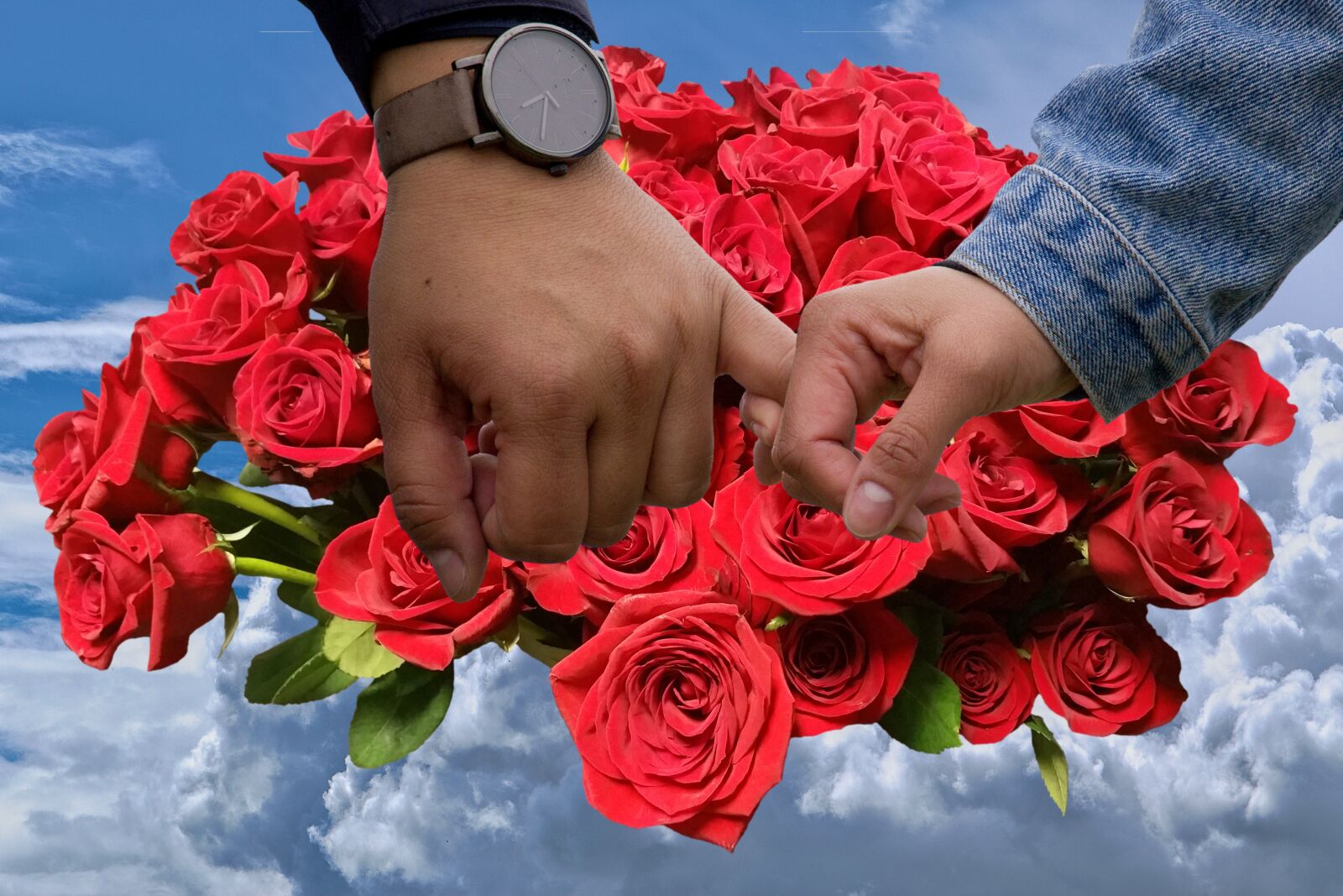 Nikon D5600 sample photo. Couple, roses, lovers photography