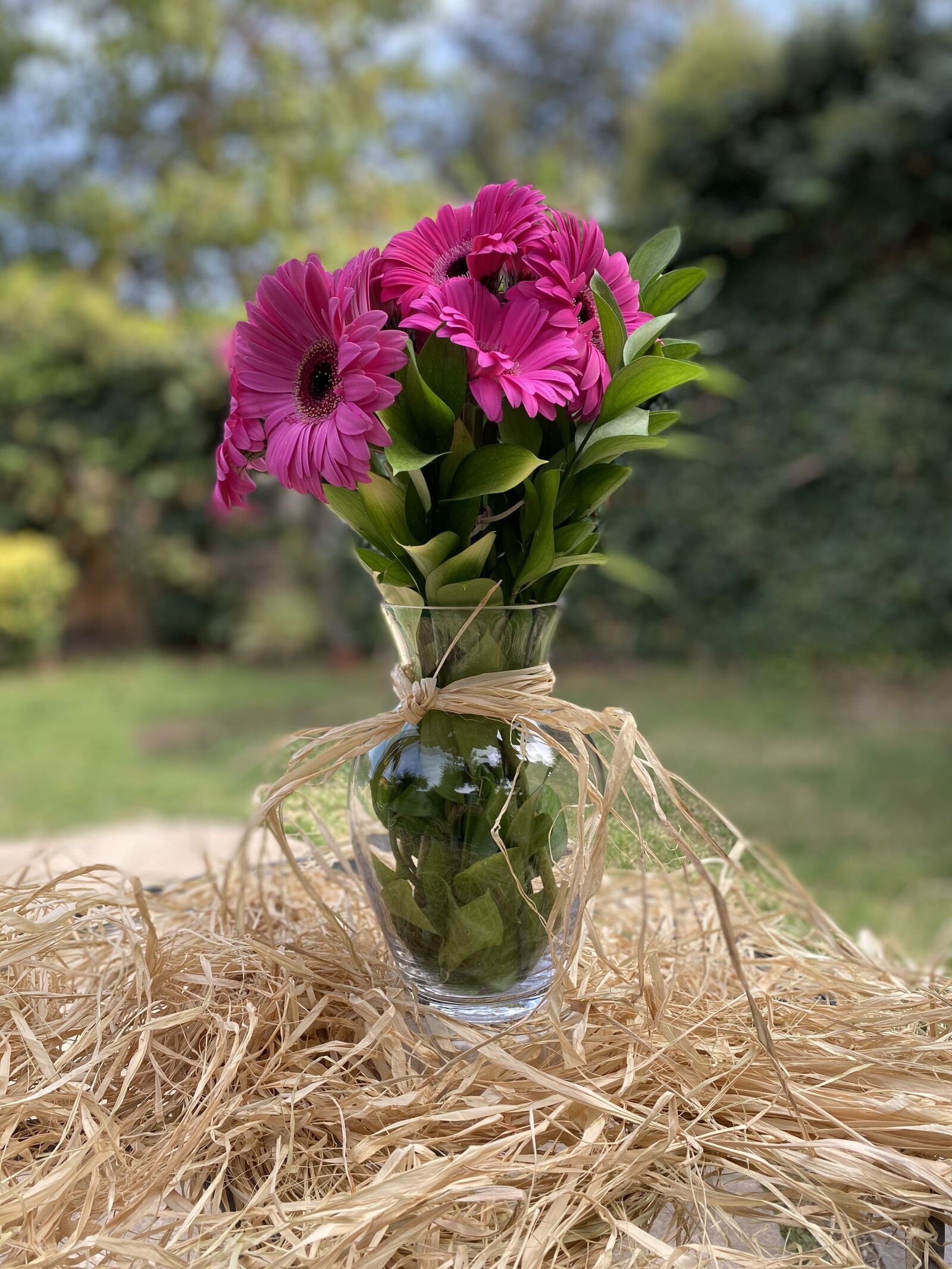 Apple iPhone 11 sample photo. Flores, gerberas, florero photography