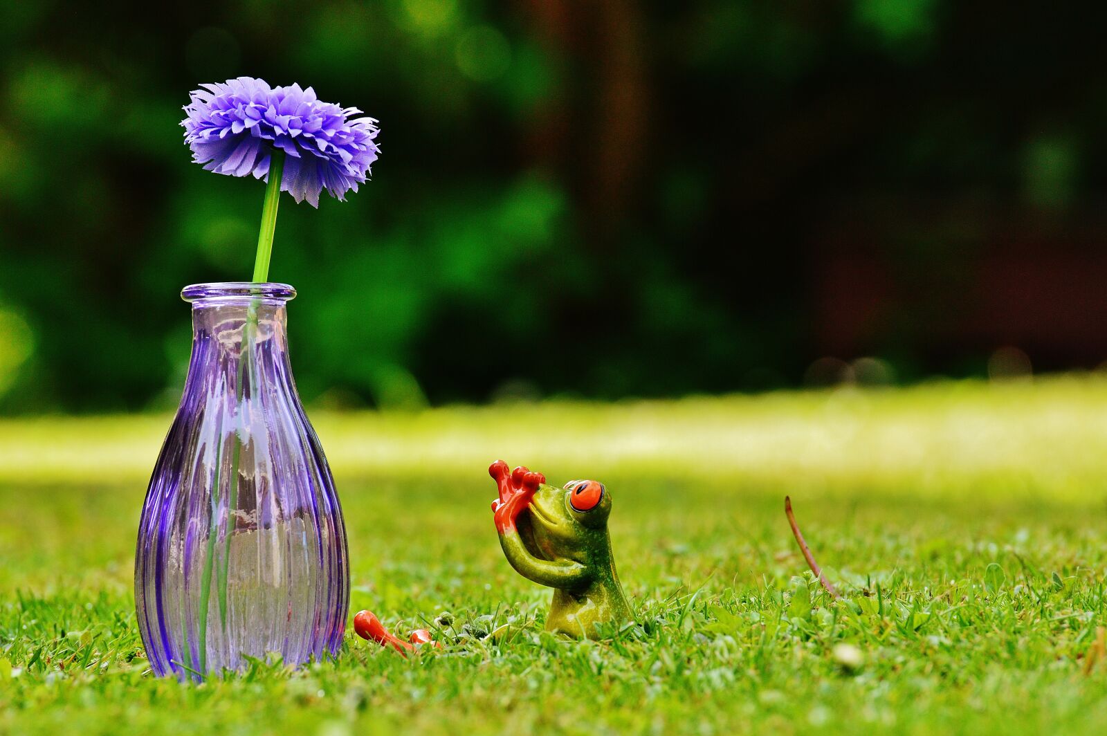 Nikon D3200 sample photo. Vase, flower, frog photography
